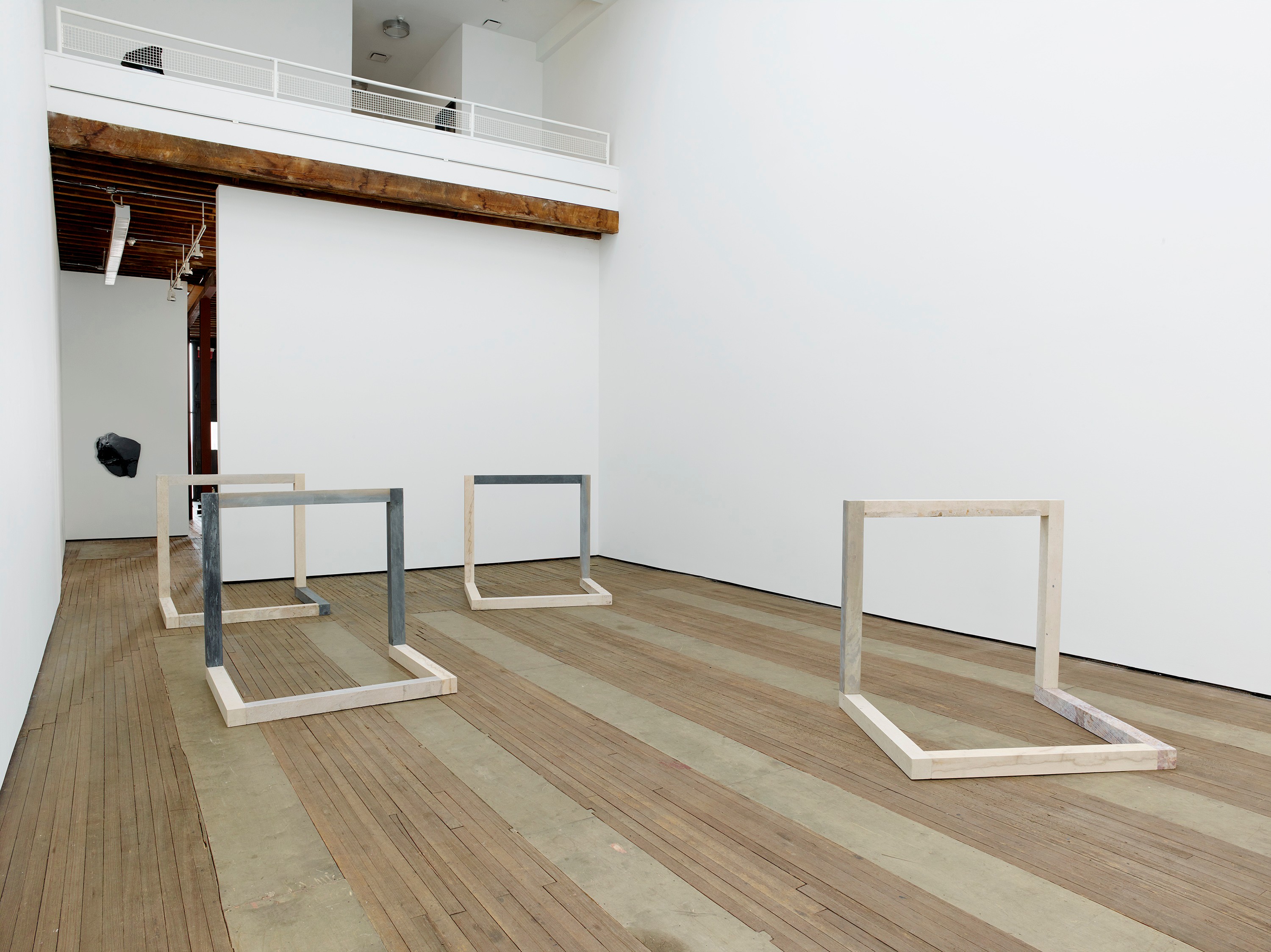 Installation view of Anya Gallaccio at Lehmann Maupin New York
