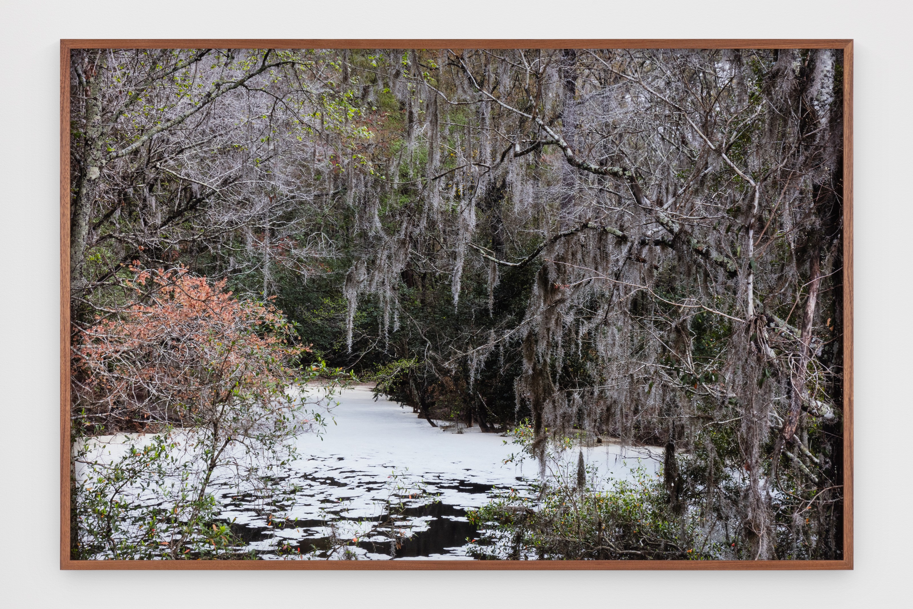 Photograph by Catherine Opie