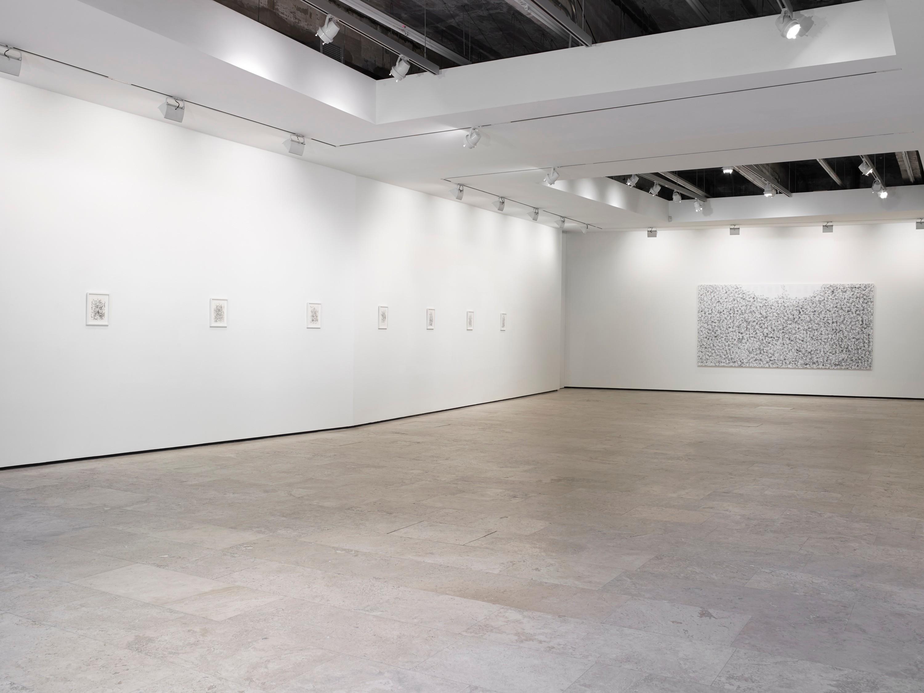 Installation view of On the Origin at Lehmann Maupin New York