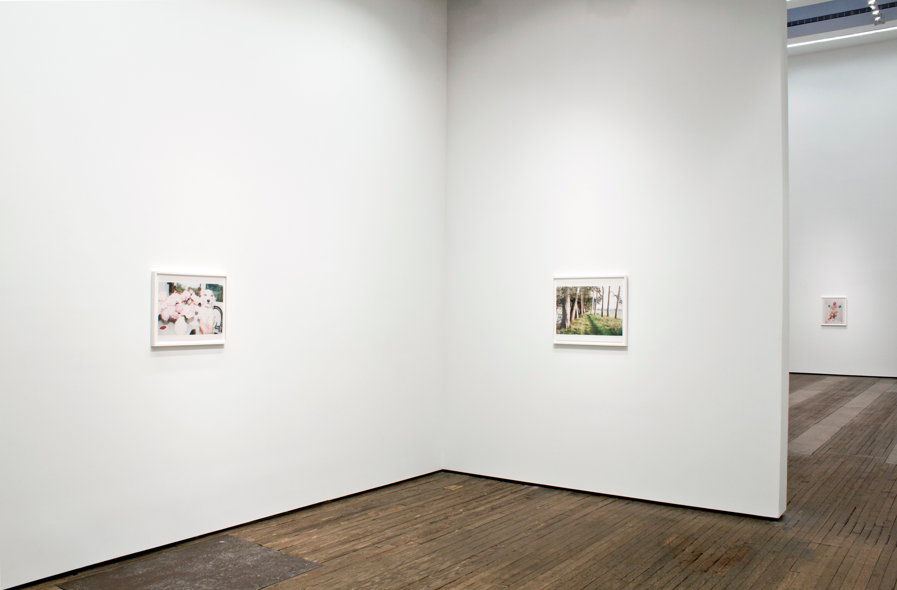 Installation view of Juergen Teller at Lehmann Maupin New York