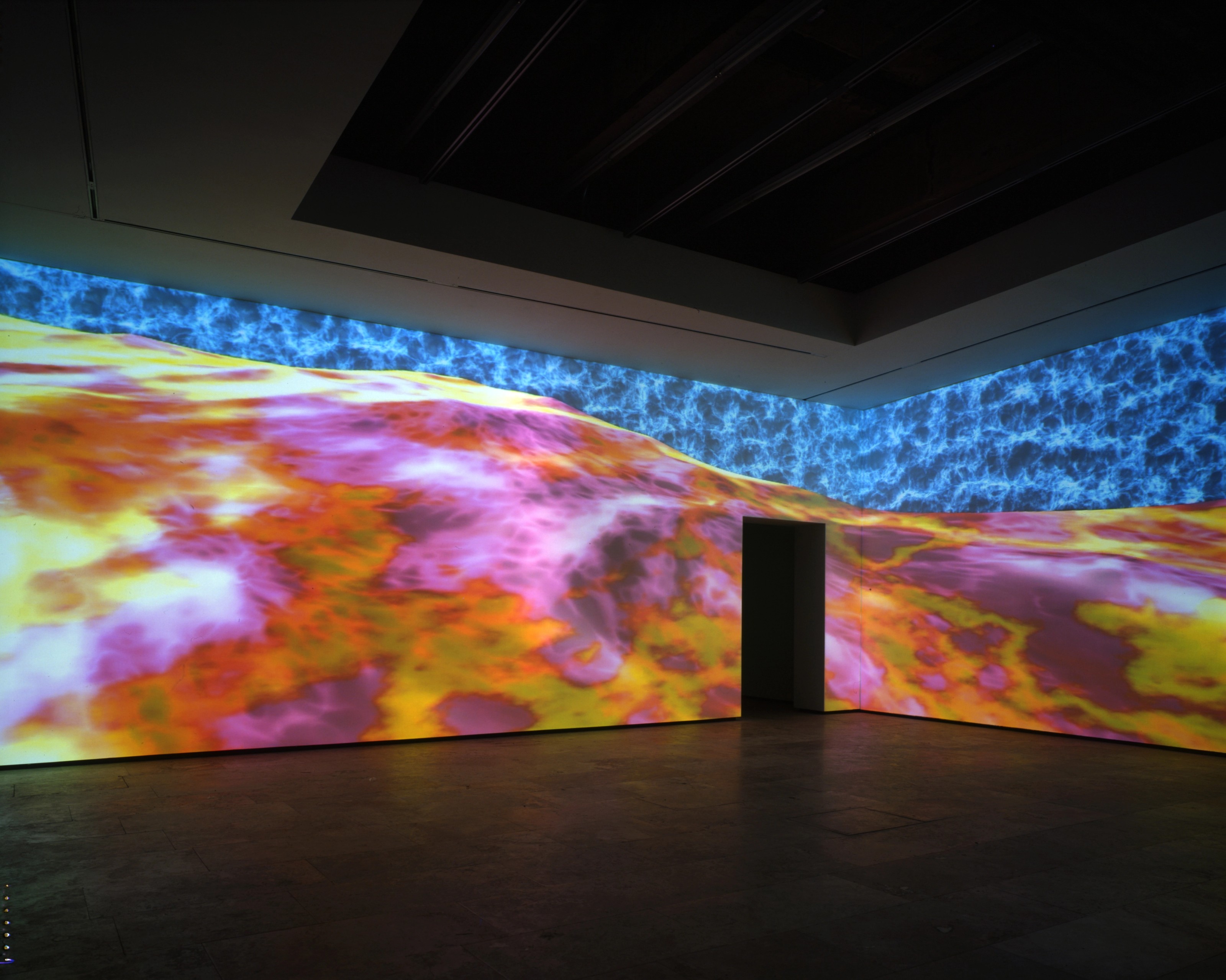 Installation view of Jennifer Steinkamp at Lehmann Maupin New York