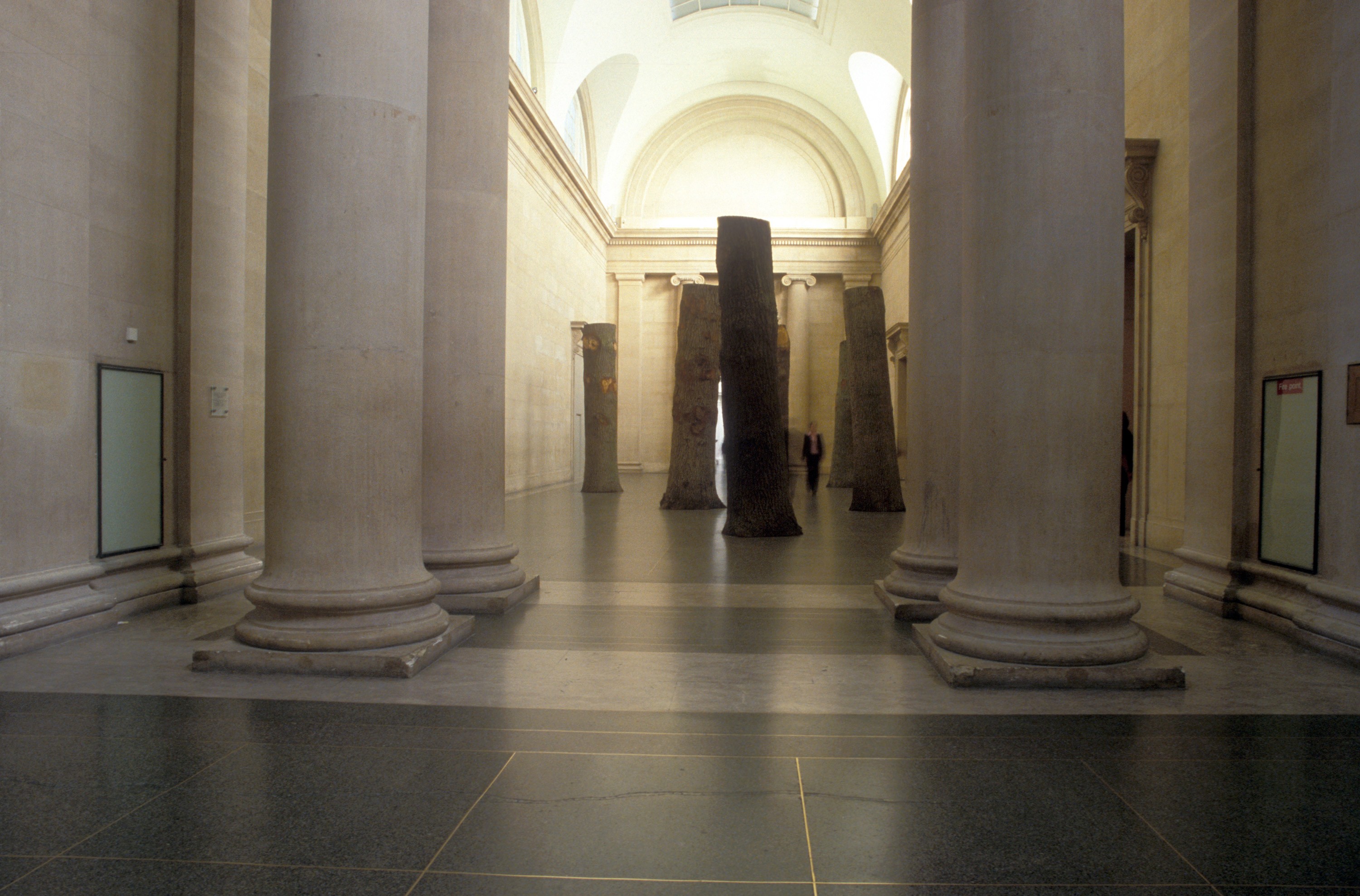 Installation view of Anya Gallaccio at Tate Britain