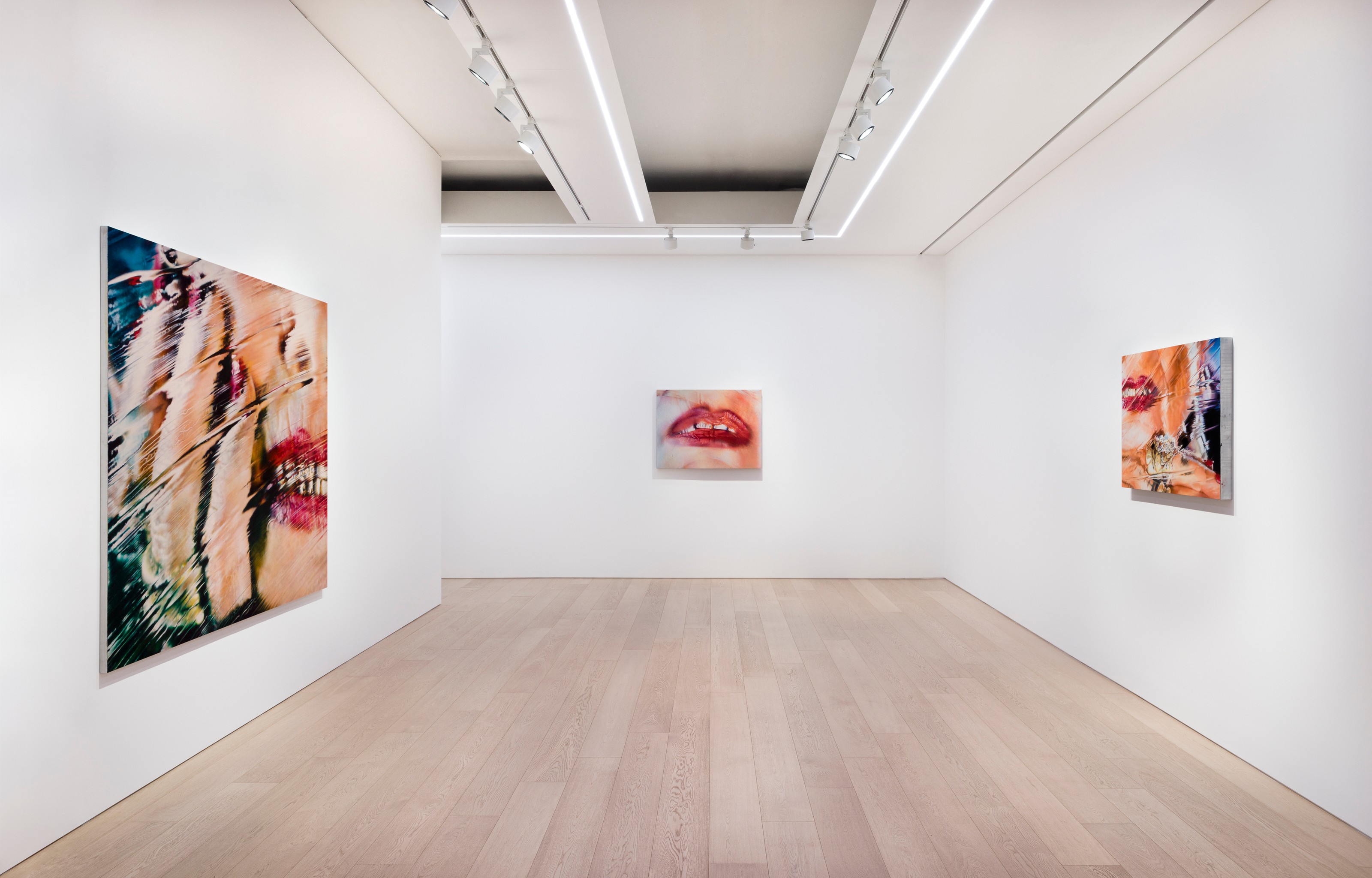 Installation view of Marilyn Minter at Lehmann Maupin Seoul