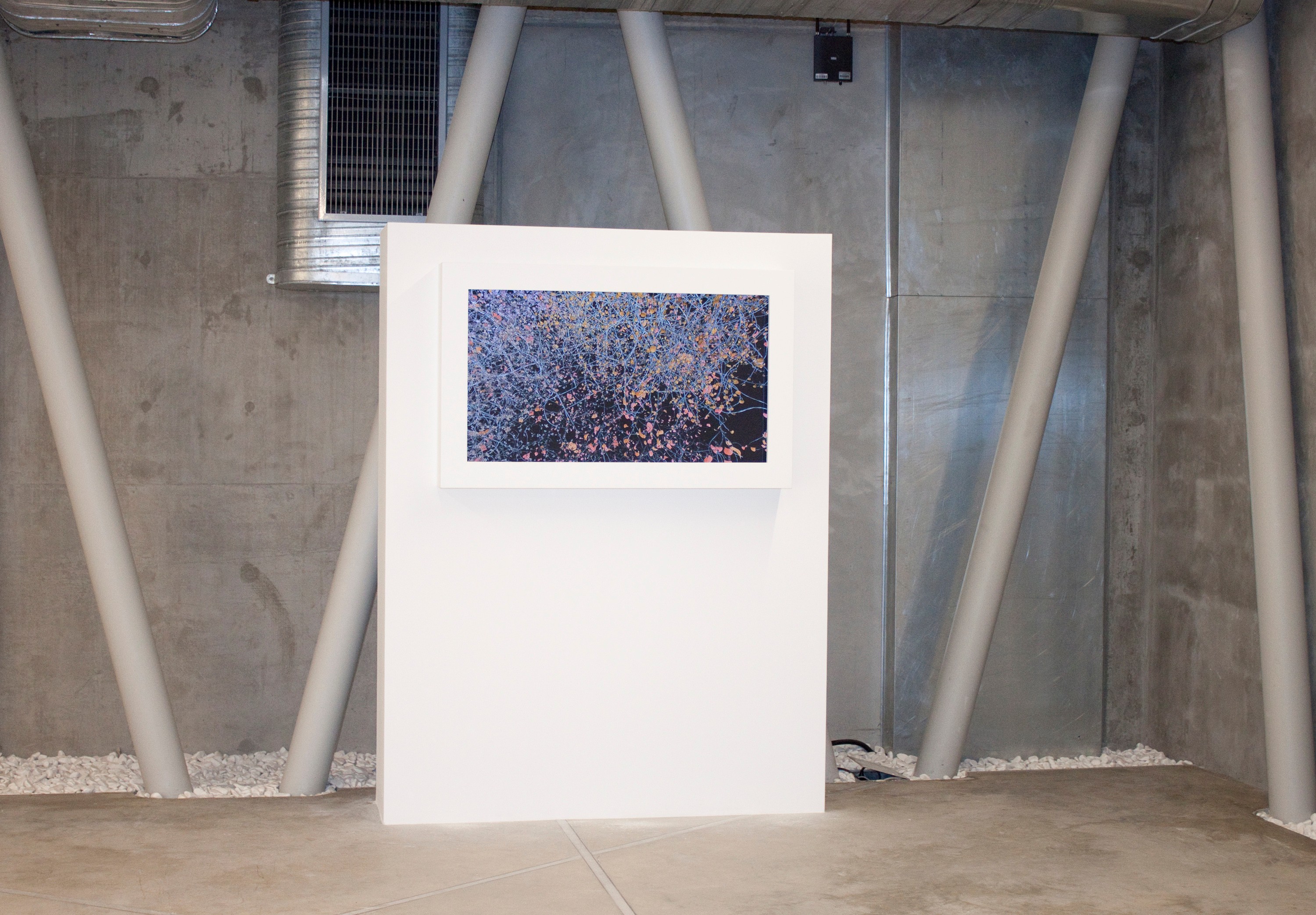 Installation view of Five in Istanbul at Borusan Müzik Evi