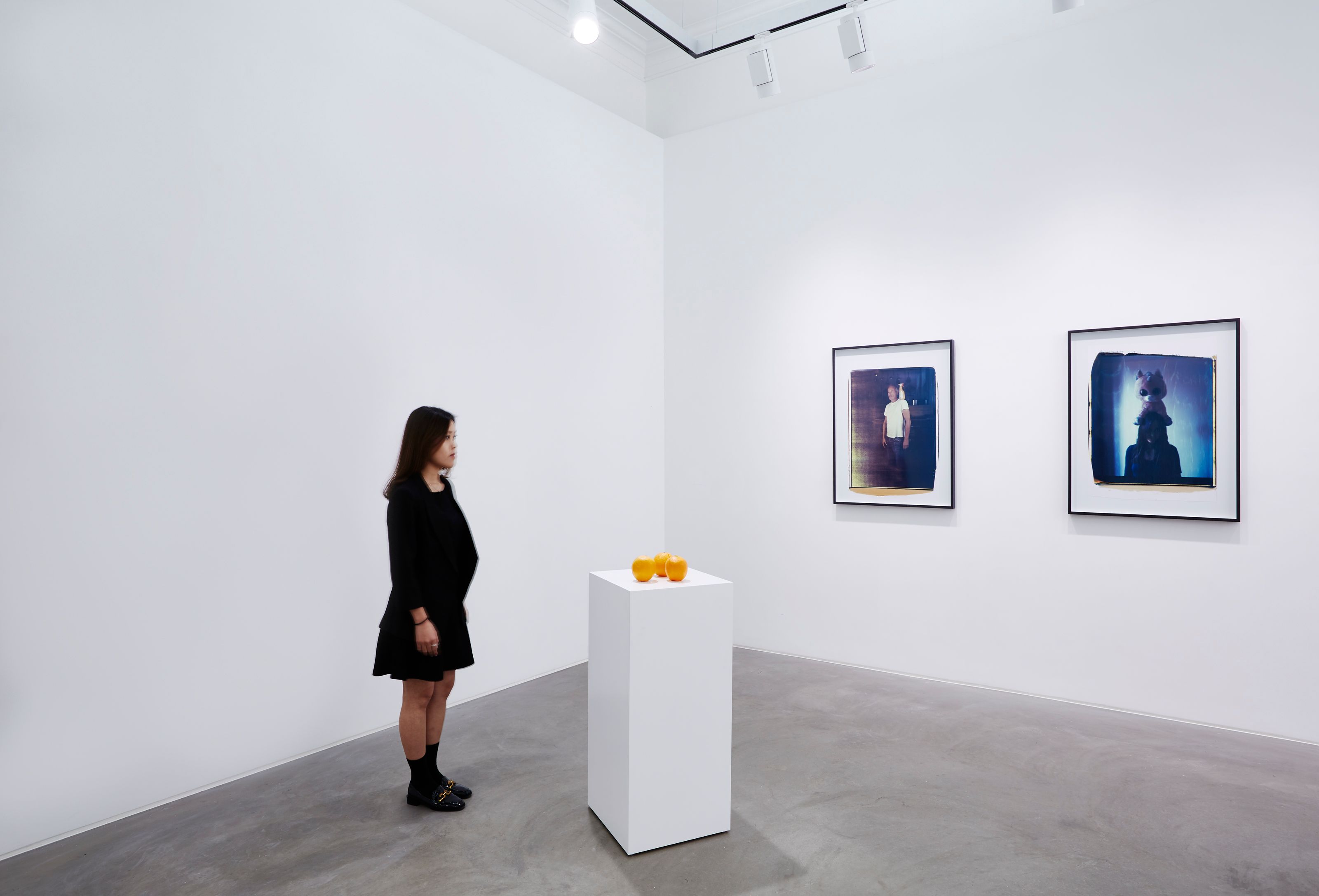 Installation view of Erwin Wurm at Lehmann Maupin Hong Kong