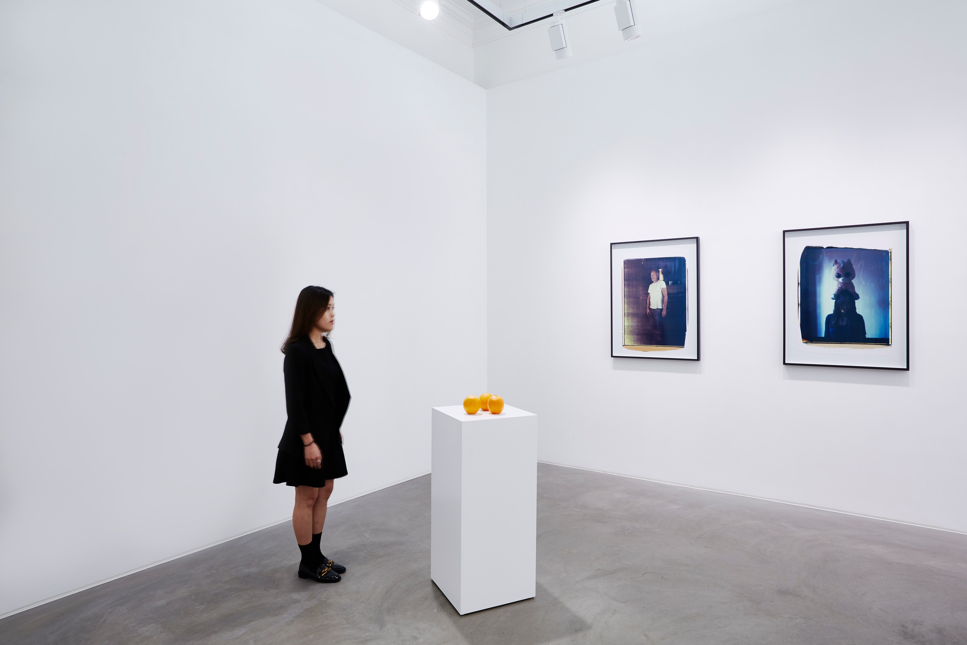 Installation view of Erwin Wurm at Lehmann Maupin Hong Kong