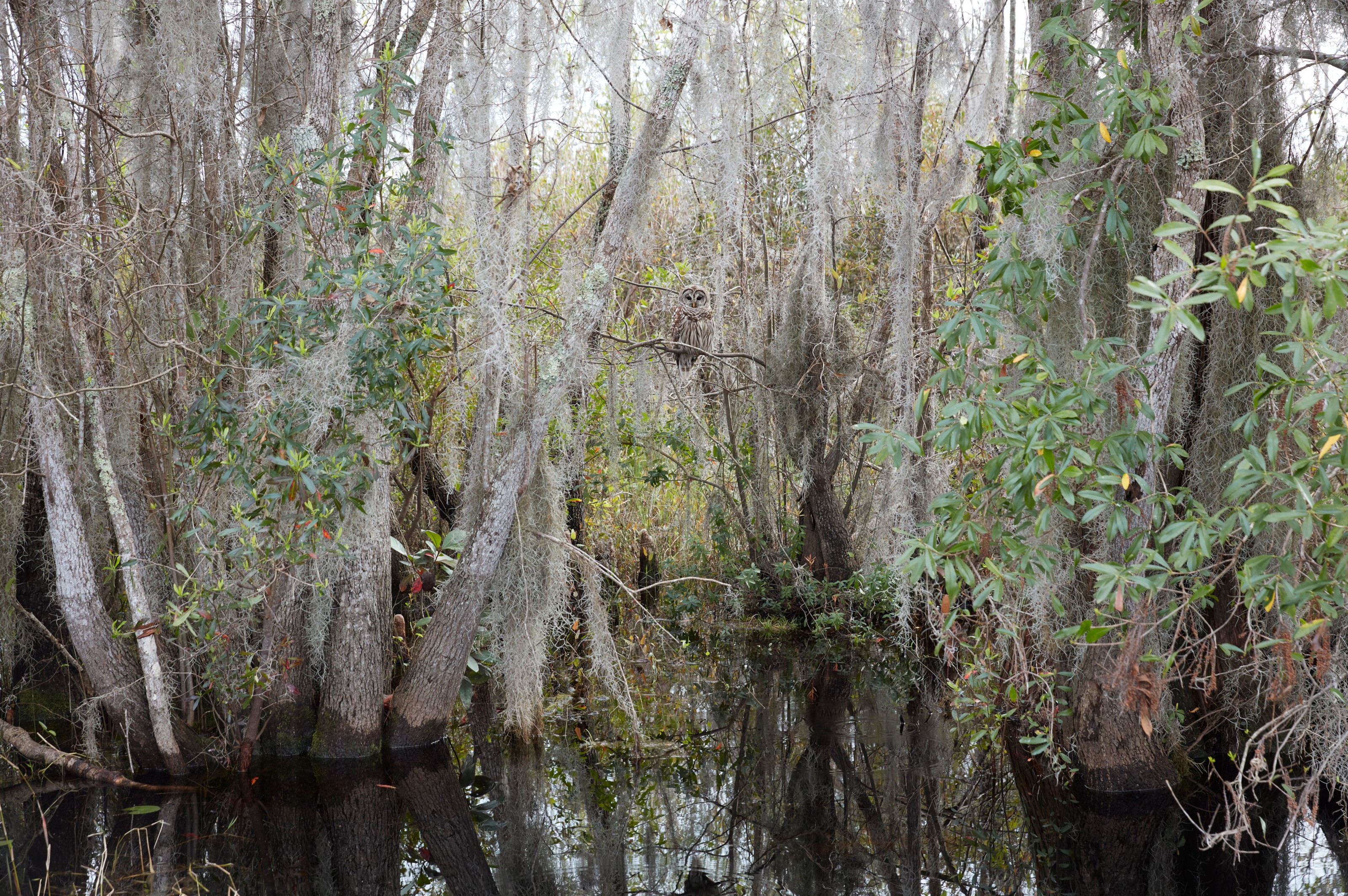 Photograph by Catherine Opie
