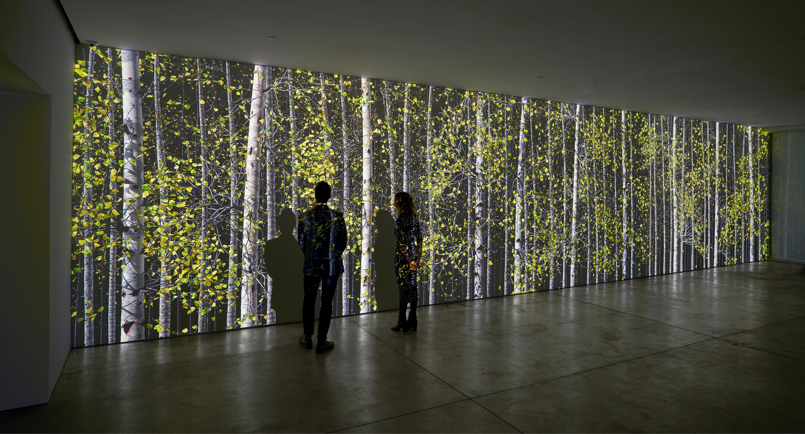 Installation view of Jennifer Steinkamp at Lehmann Maupin New York