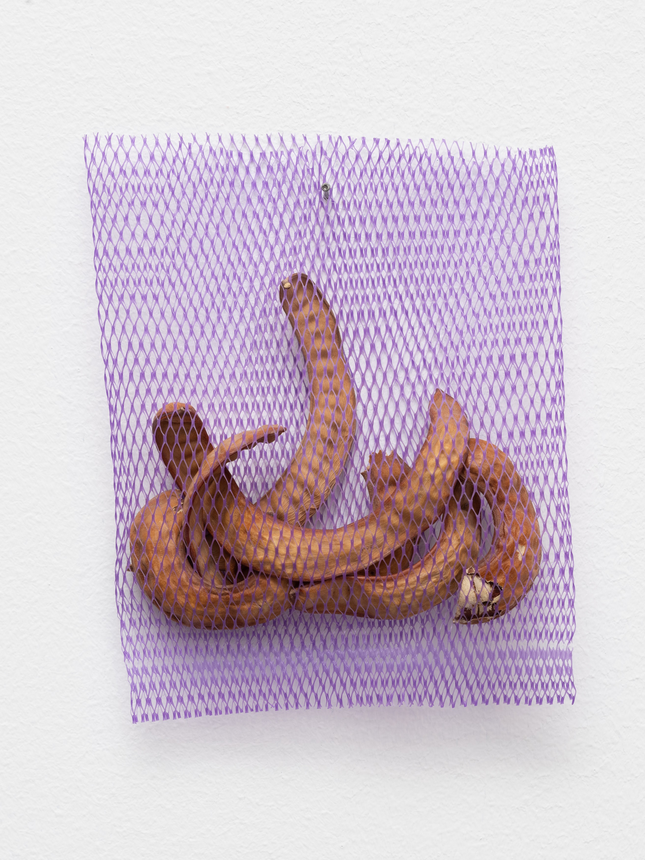 Precarios by Cecilia Vicuña