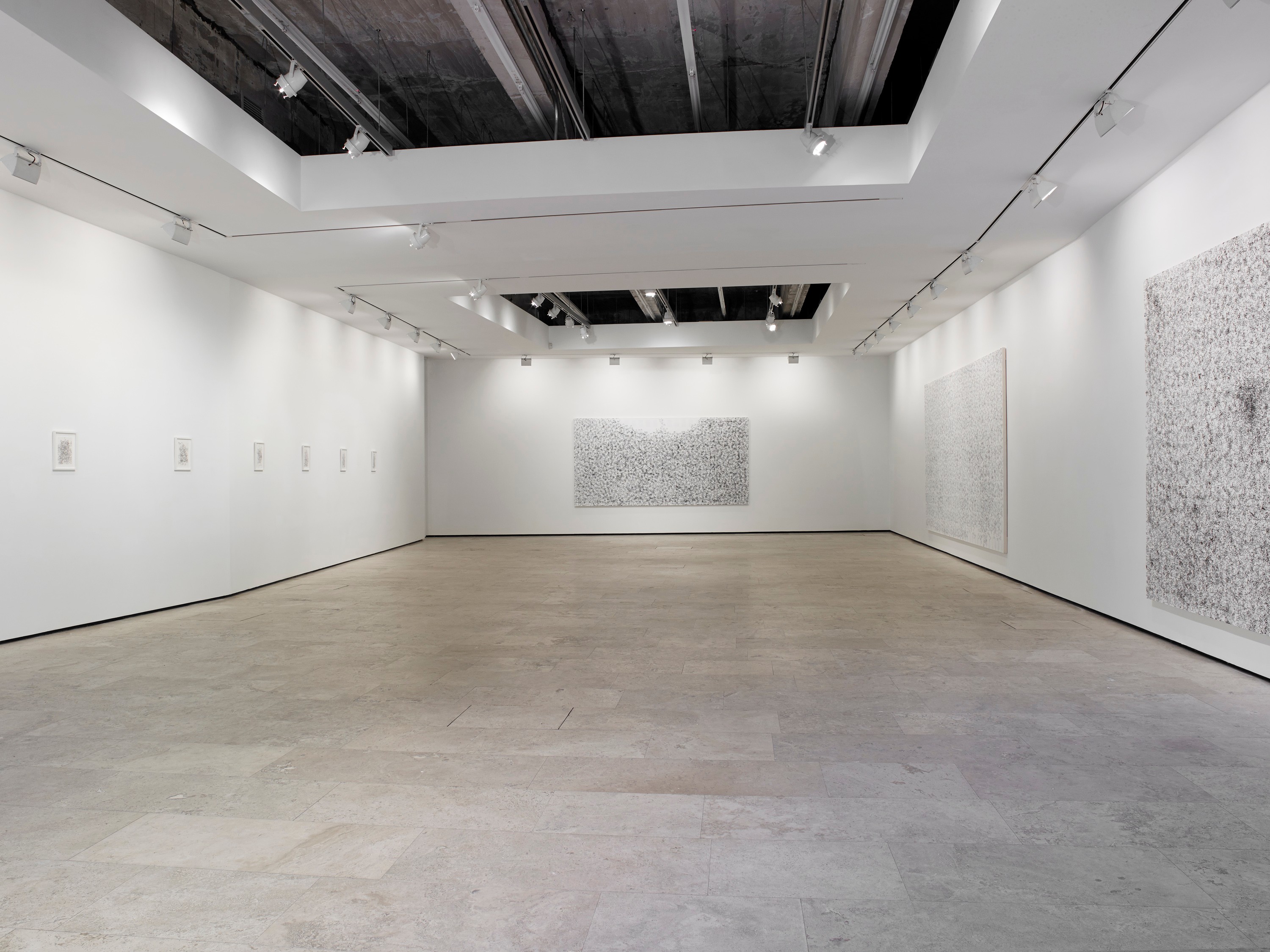 Installation view of On the Origin at Lehmann Maupin New York