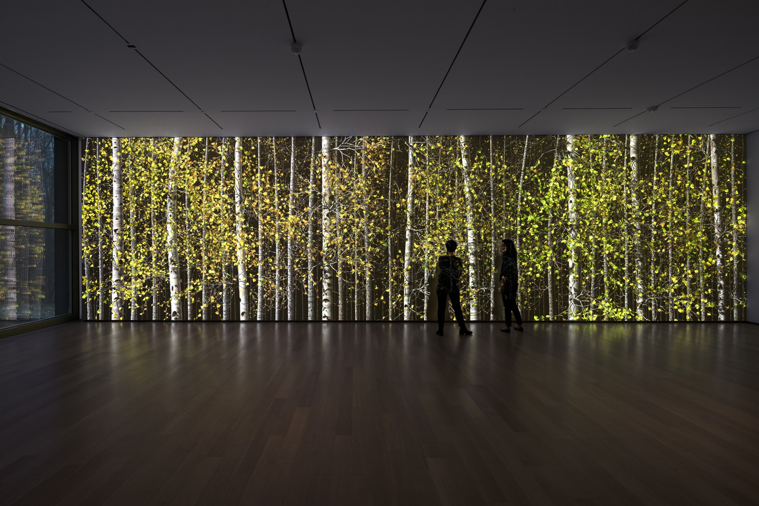 Video installation by Jennifer Steinkamp