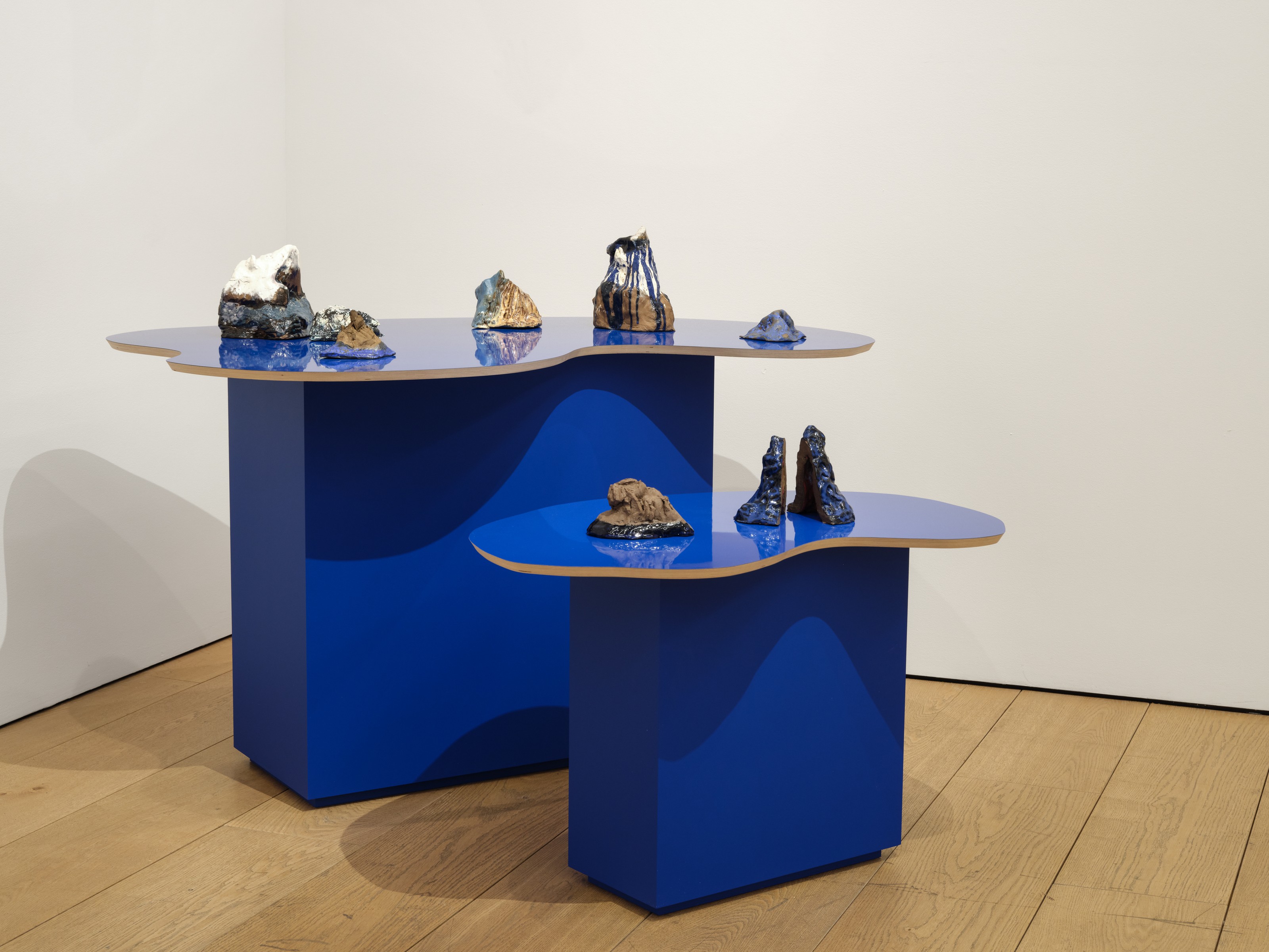 Installation view of Catherine Opie at Lehmann Maupin New York