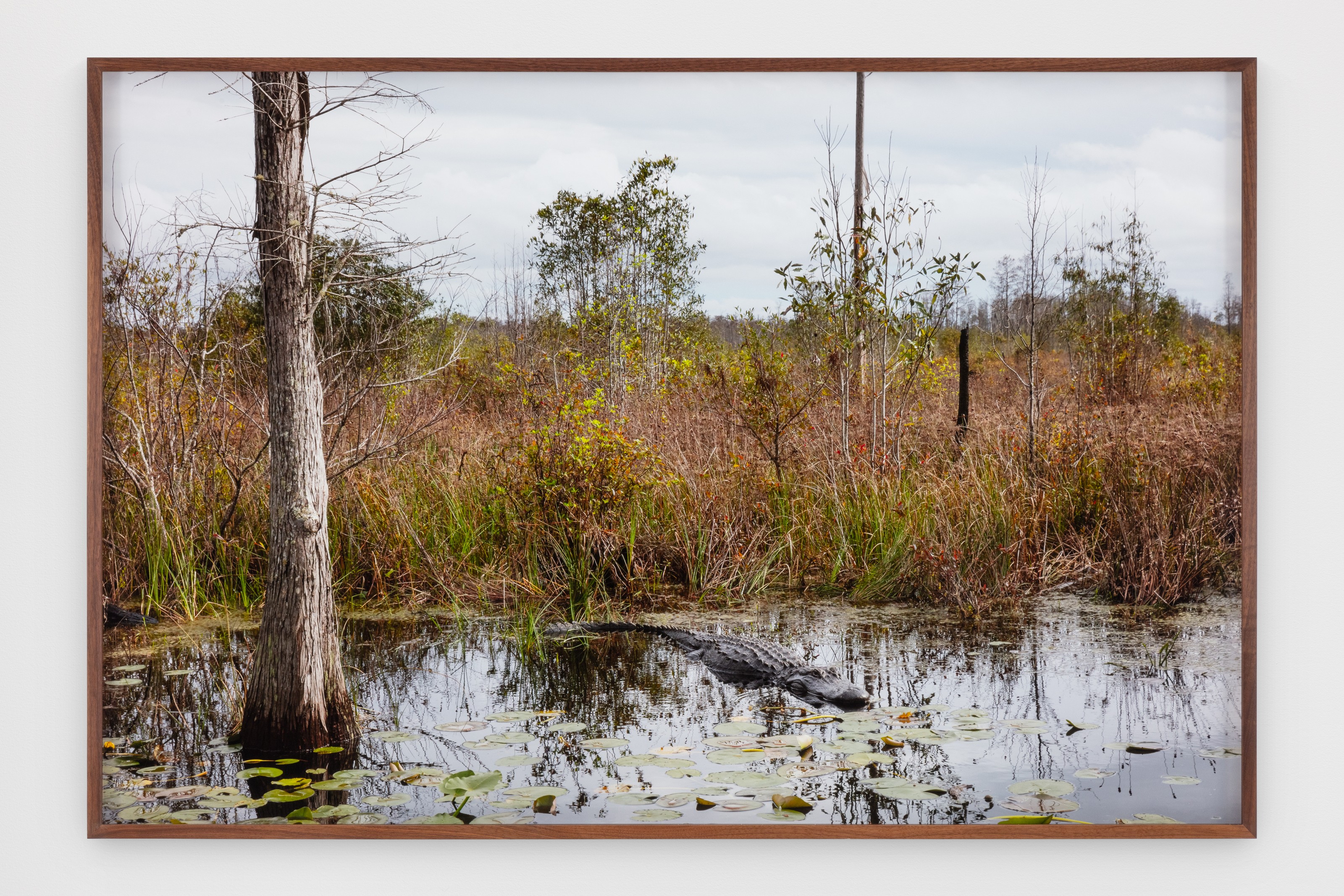 Photograph by Catherine Opie