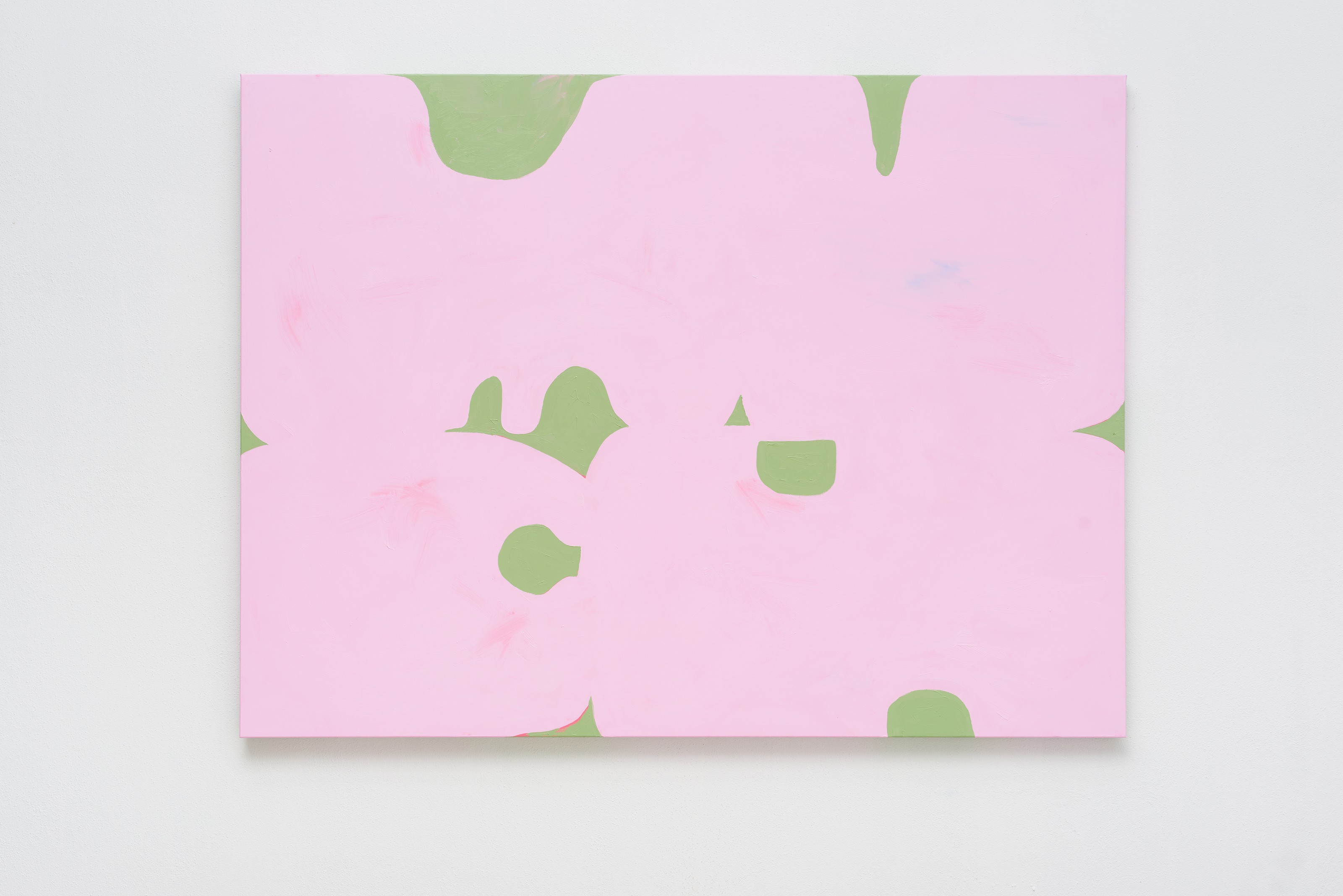 Work on canvas by Erwin Wurm