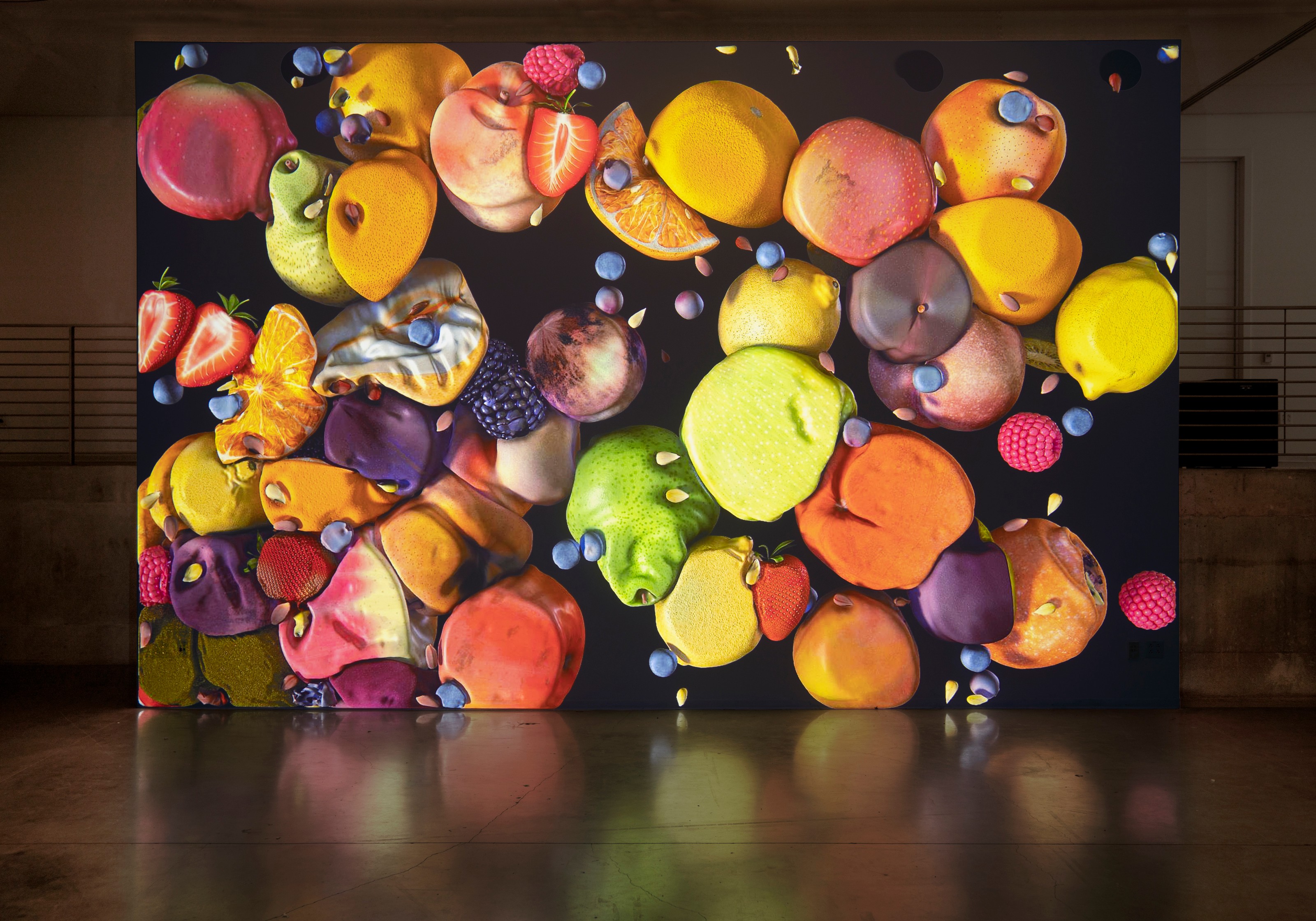 Video installation by Jennifer Steinkamp