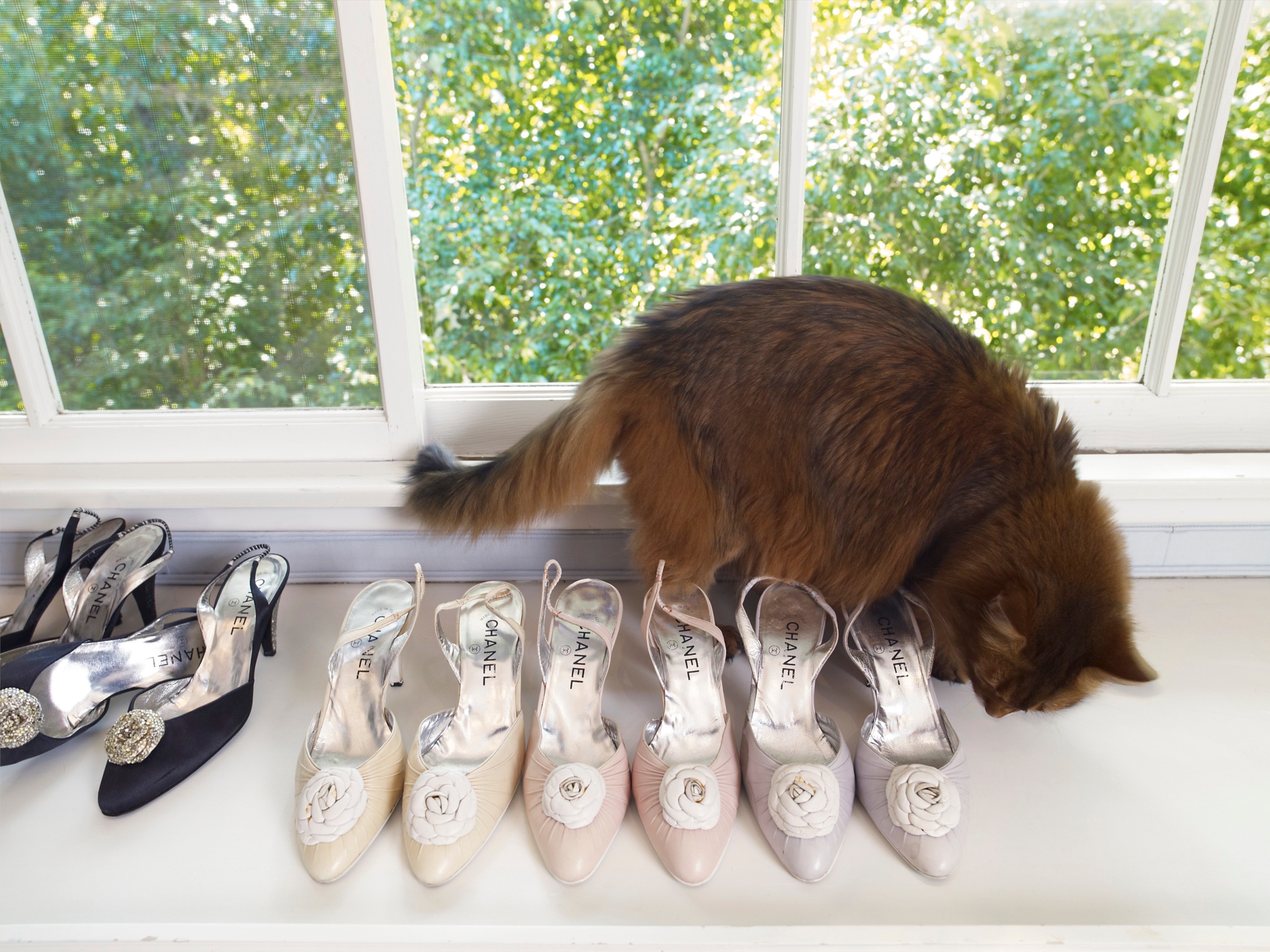 Photograph by Catherine Opie
