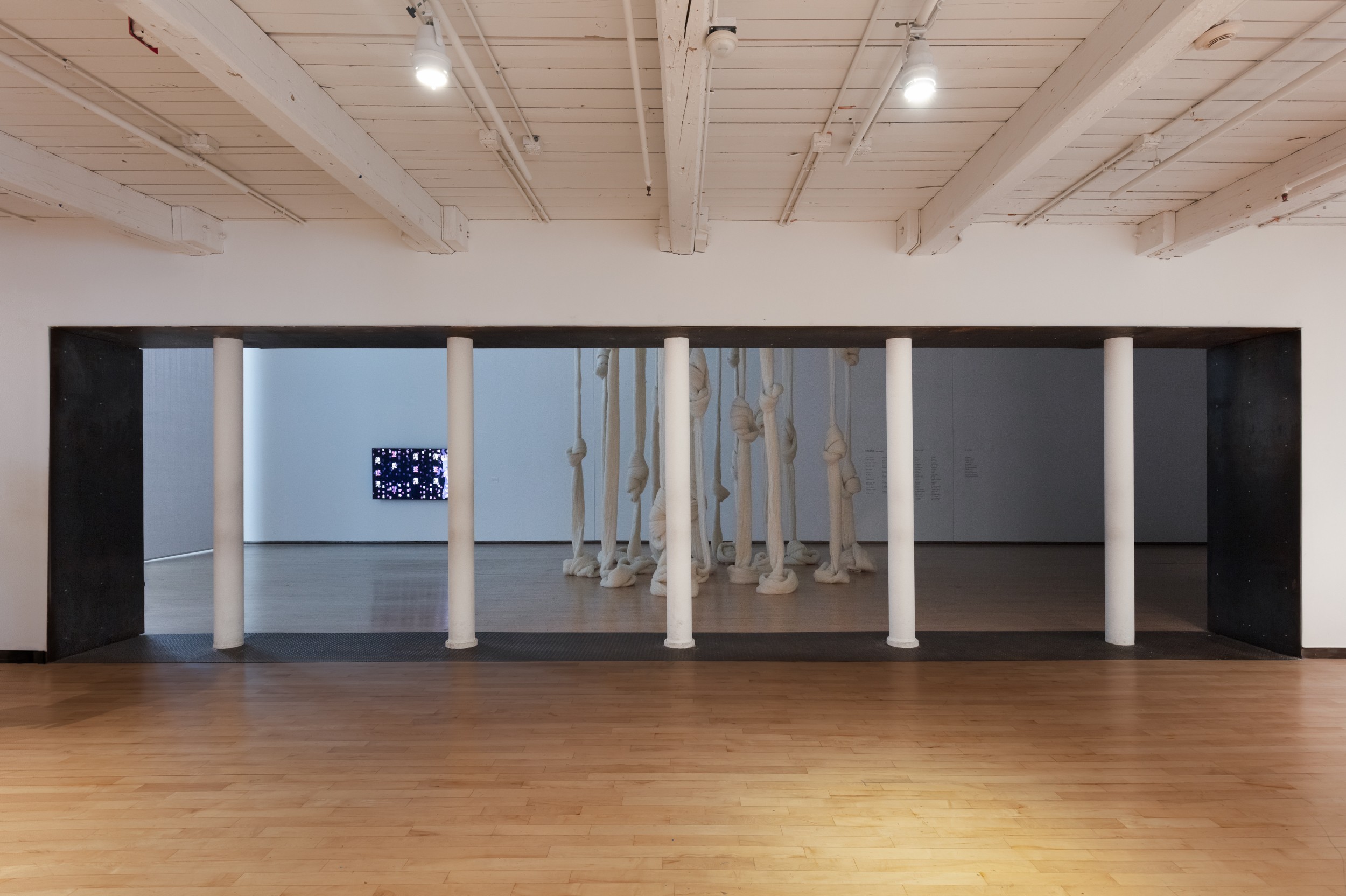 Installation by Cecilia Vicuna
