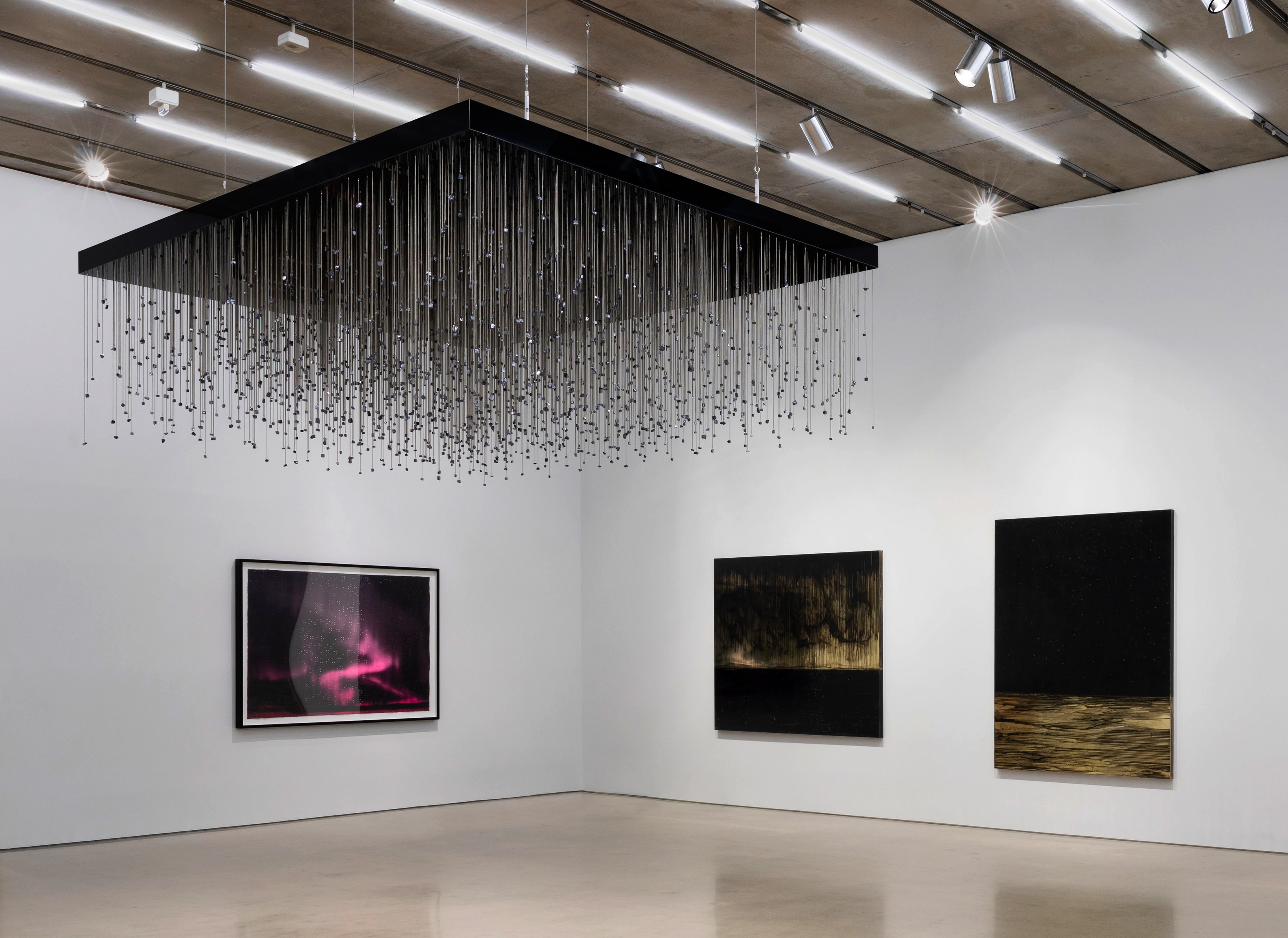 Teresita Fernández at PAMM