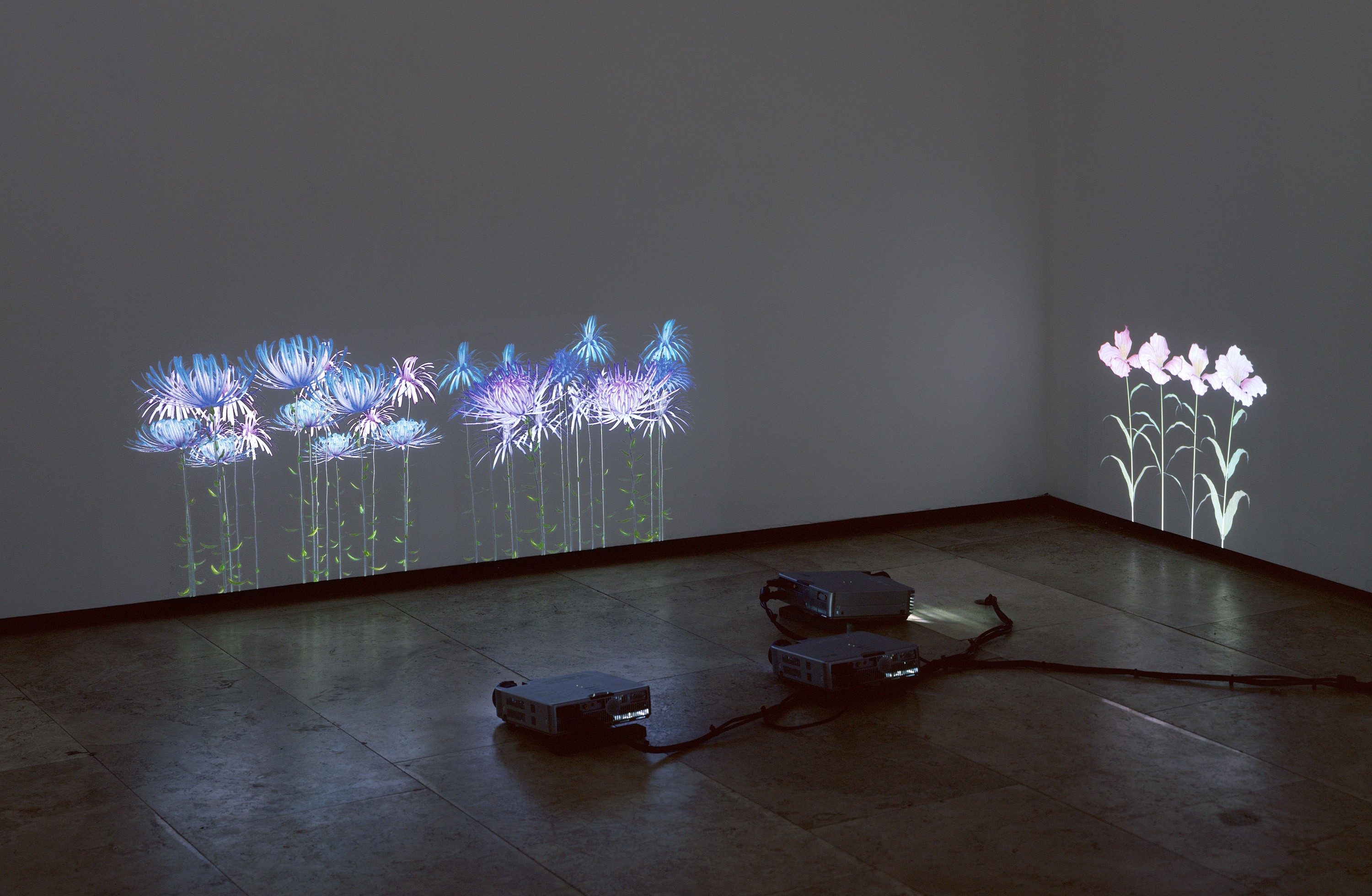 Installation view of Rapunzel at Lehmann Maupin New York