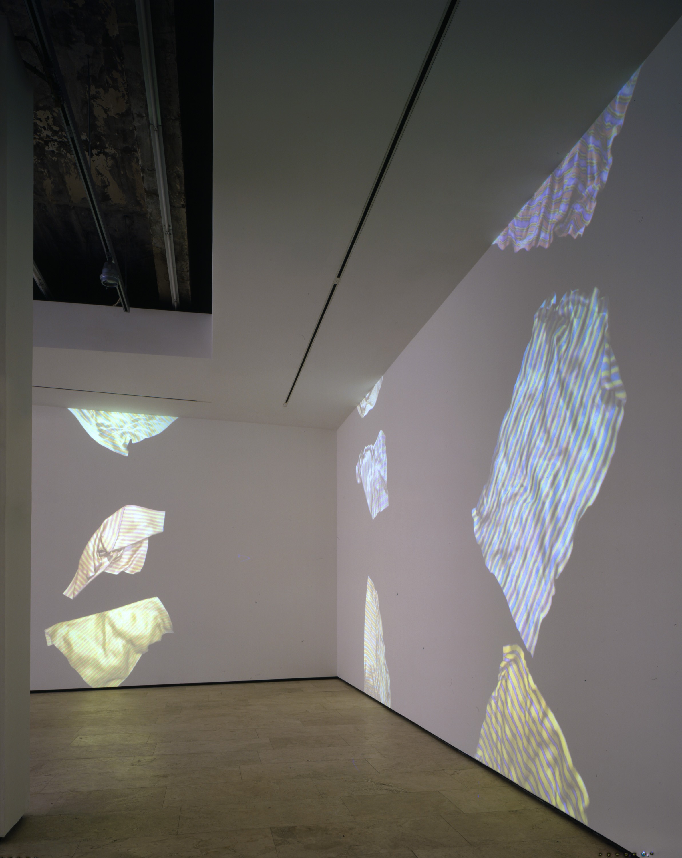 Installation view of Jennifer Steinkamp at Lehmann Maupin New York