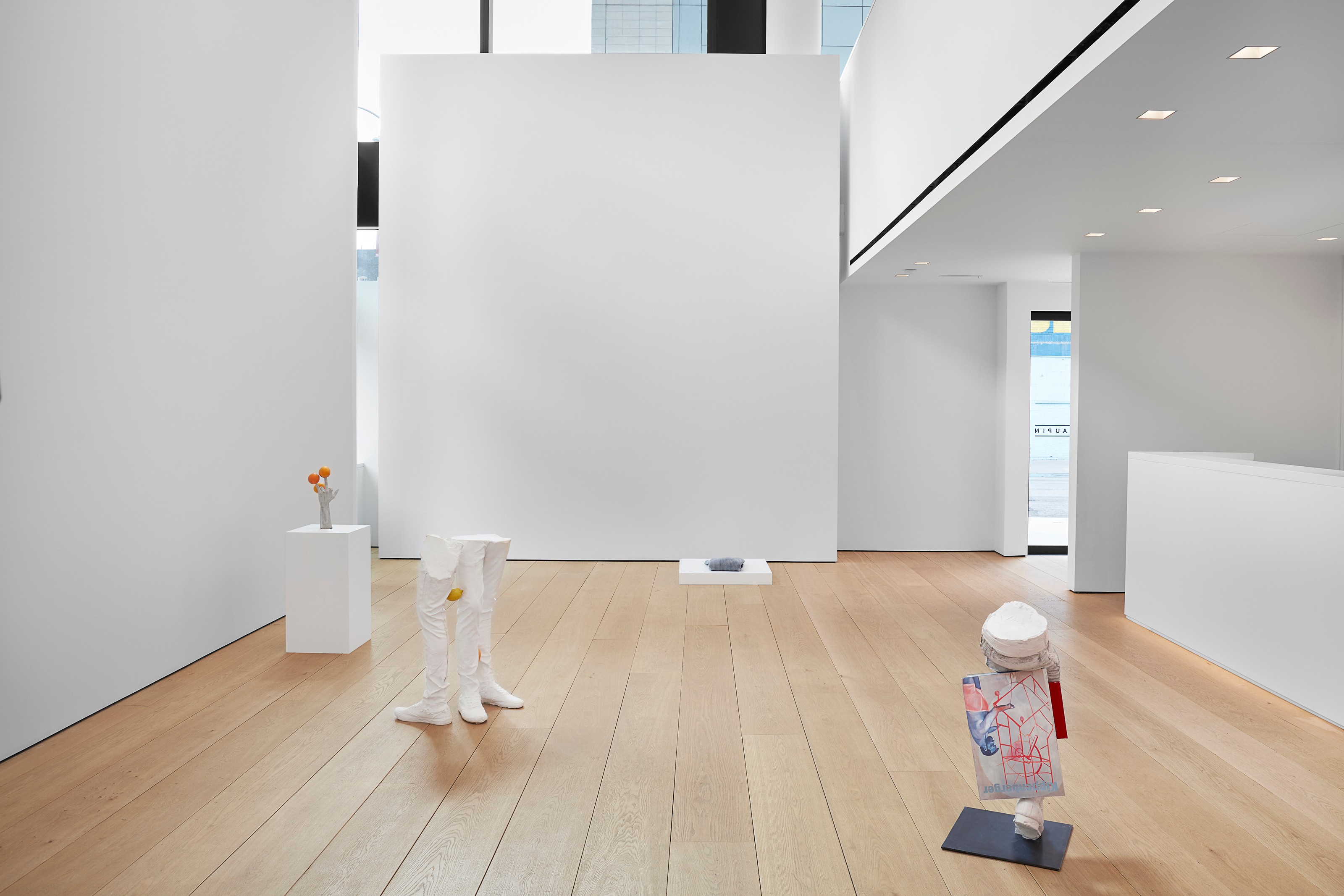 Installation view of Yes Biological at Lehmann Maupin New York