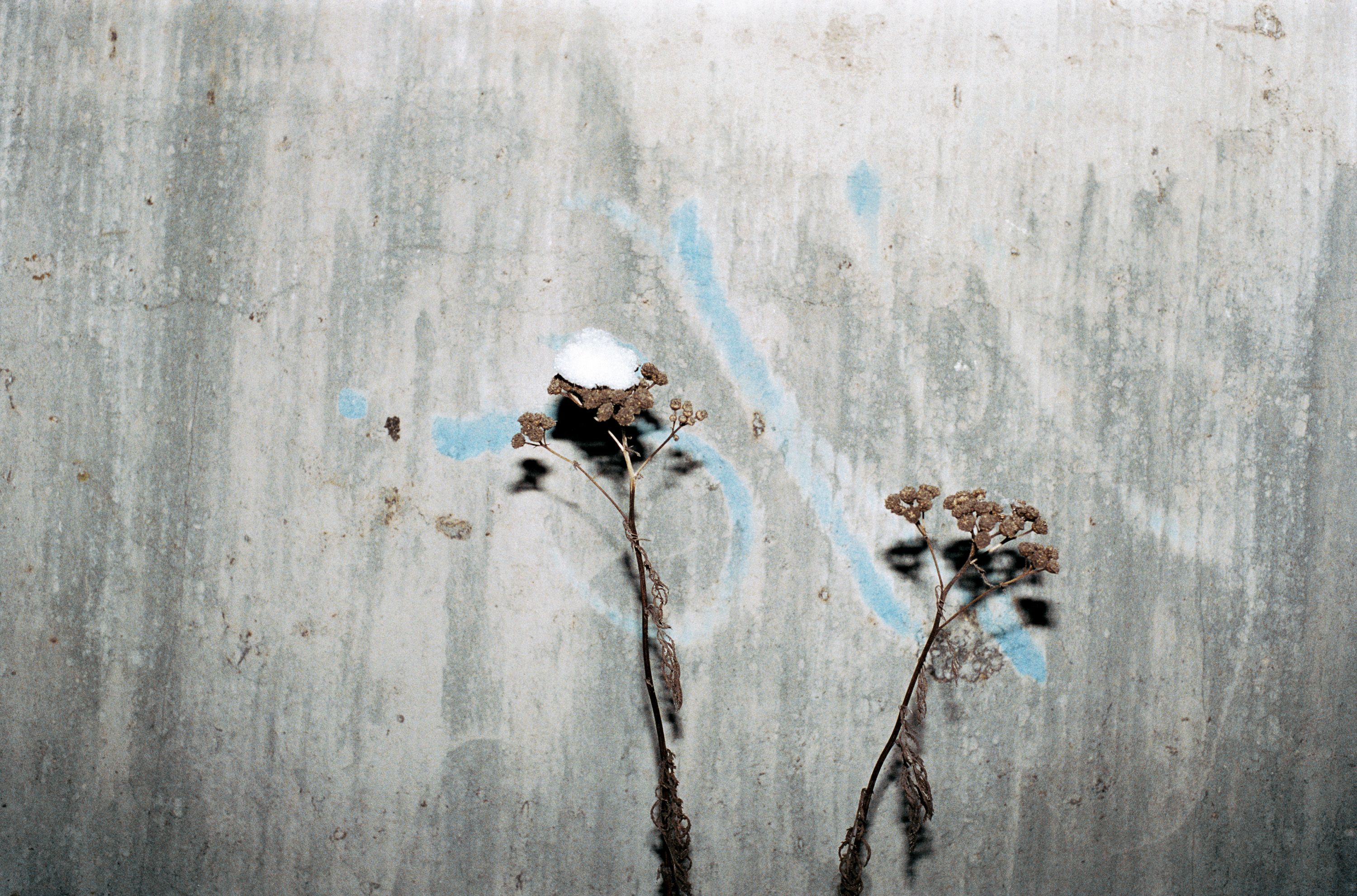 Photograph by Juergen Teller