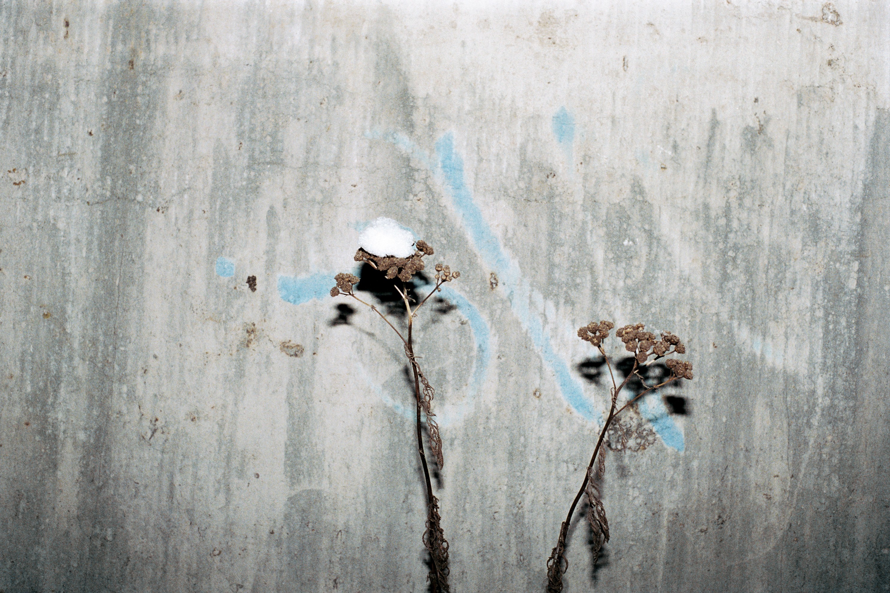 Photograph by Juergen Teller