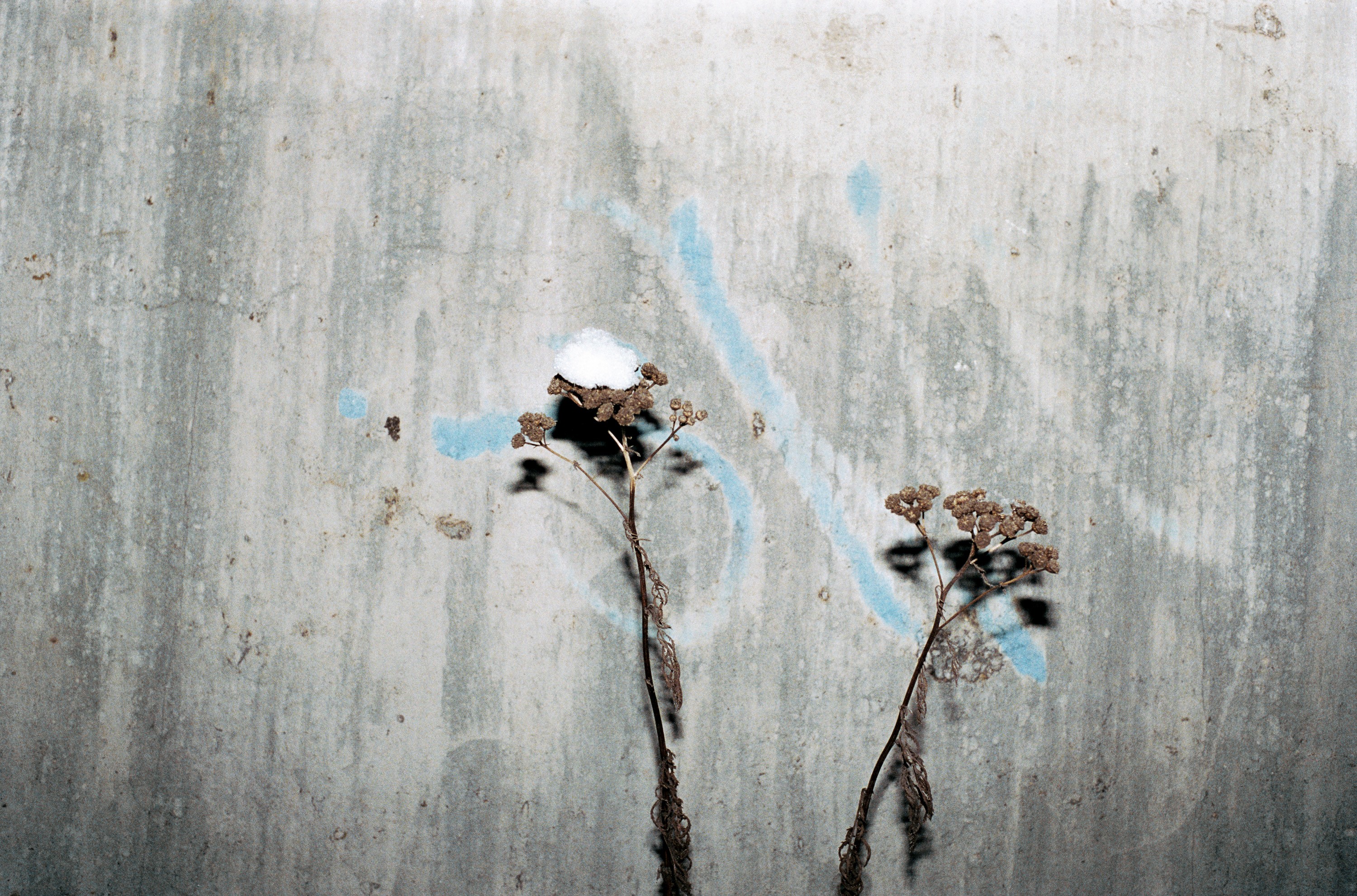 Photograph by Juergen Teller