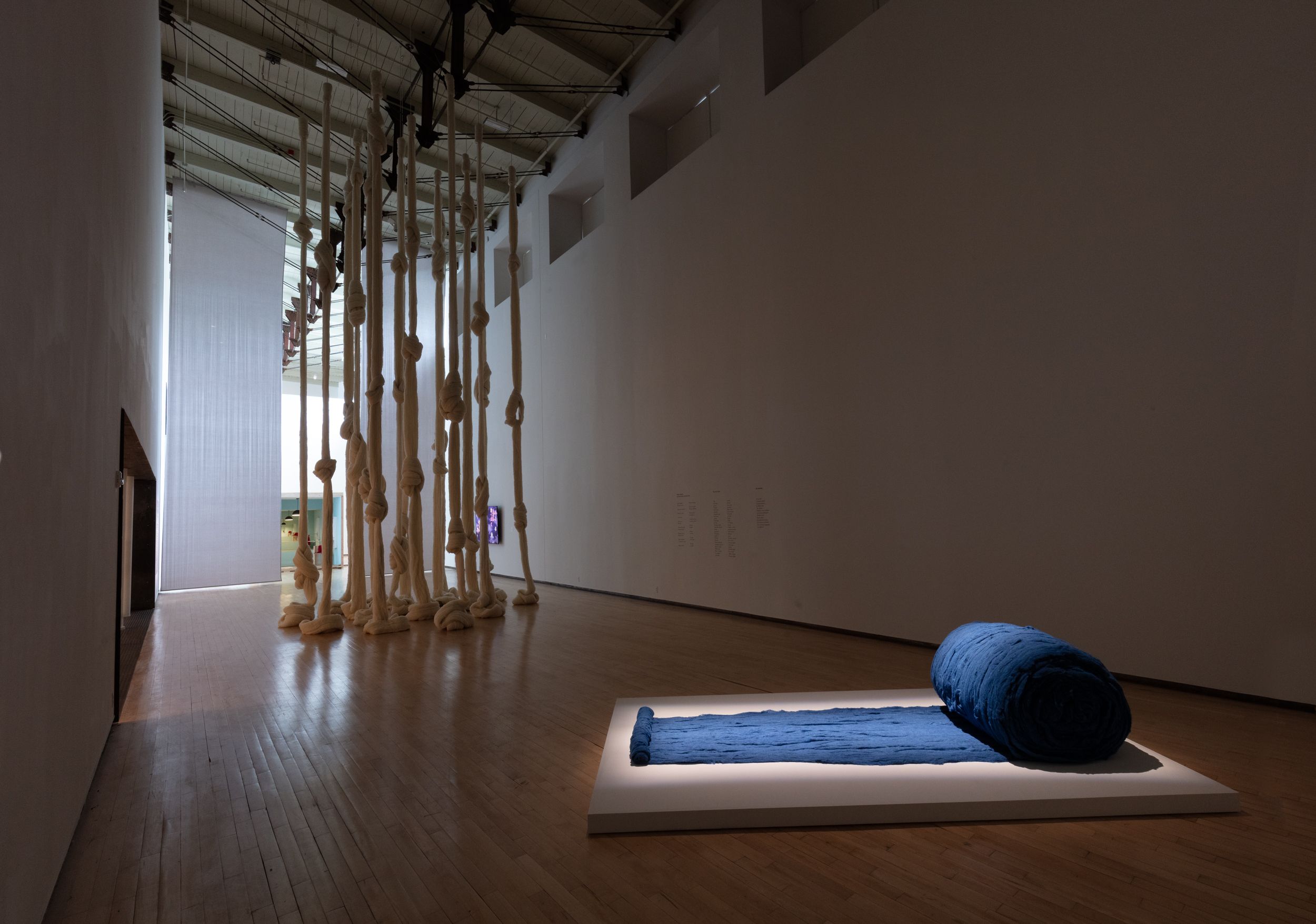 Cecilia Vicuña Installation view