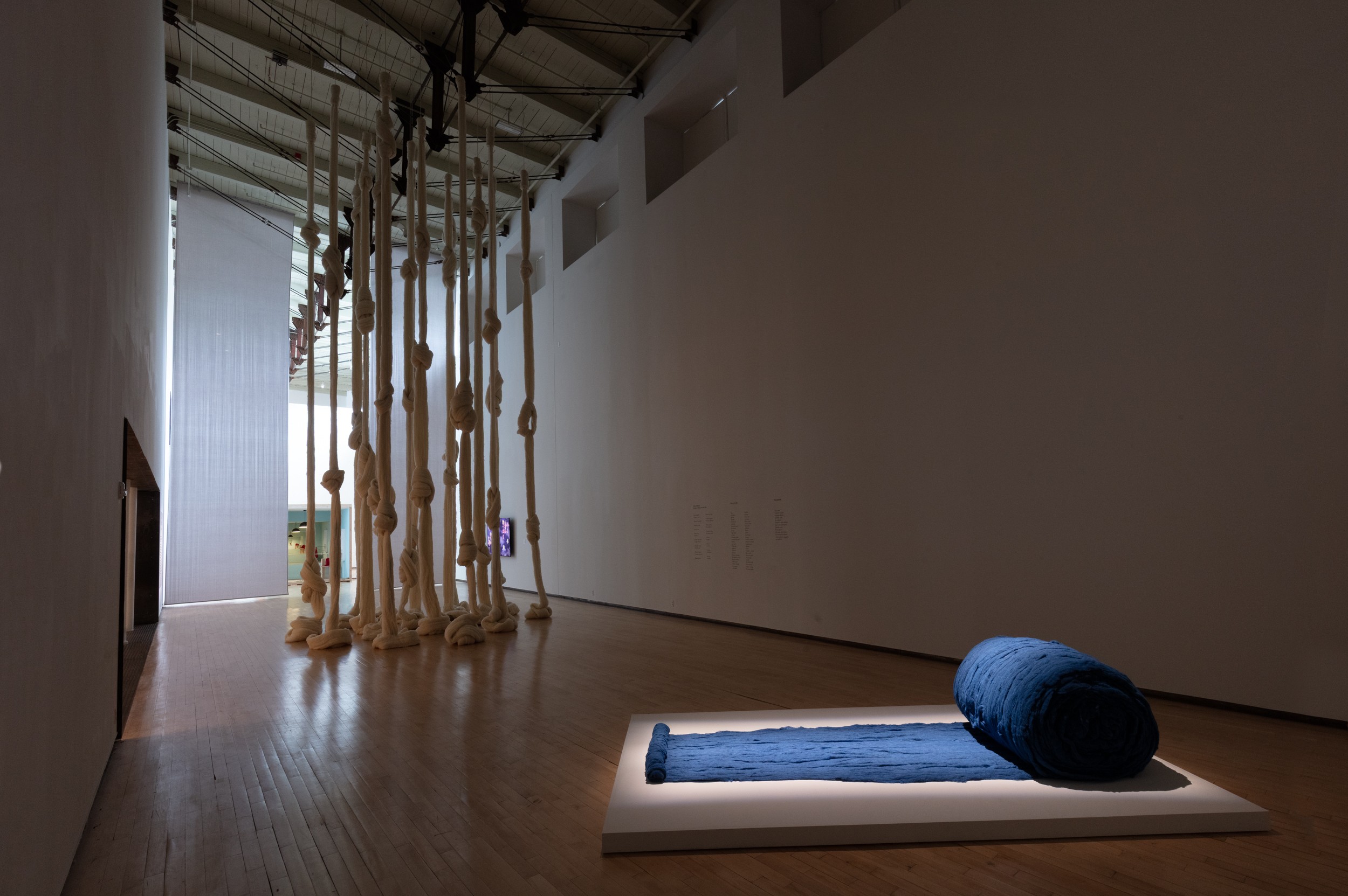 Cecilia Vicuña Installation view