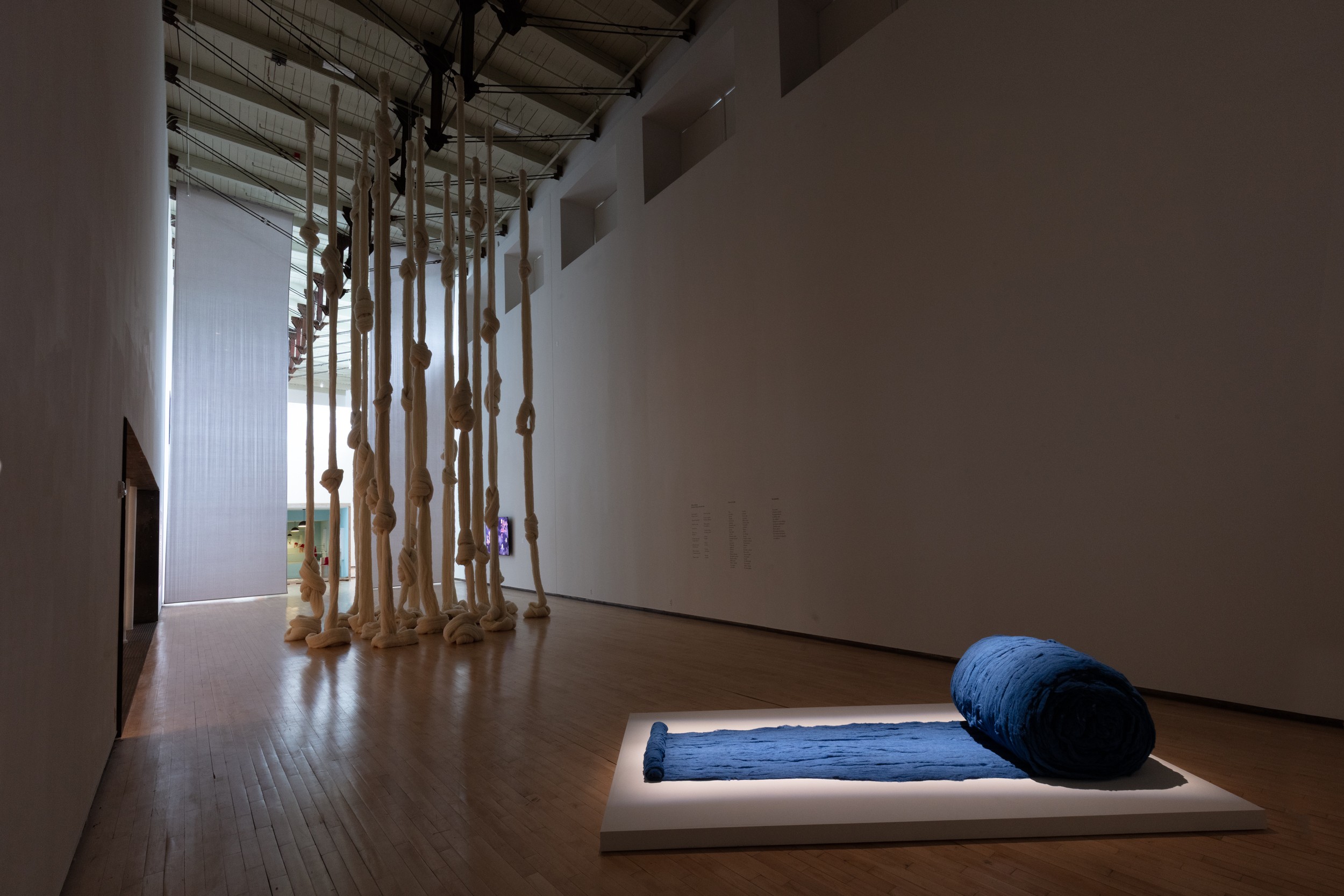 Cecilia Vicuña Installation view