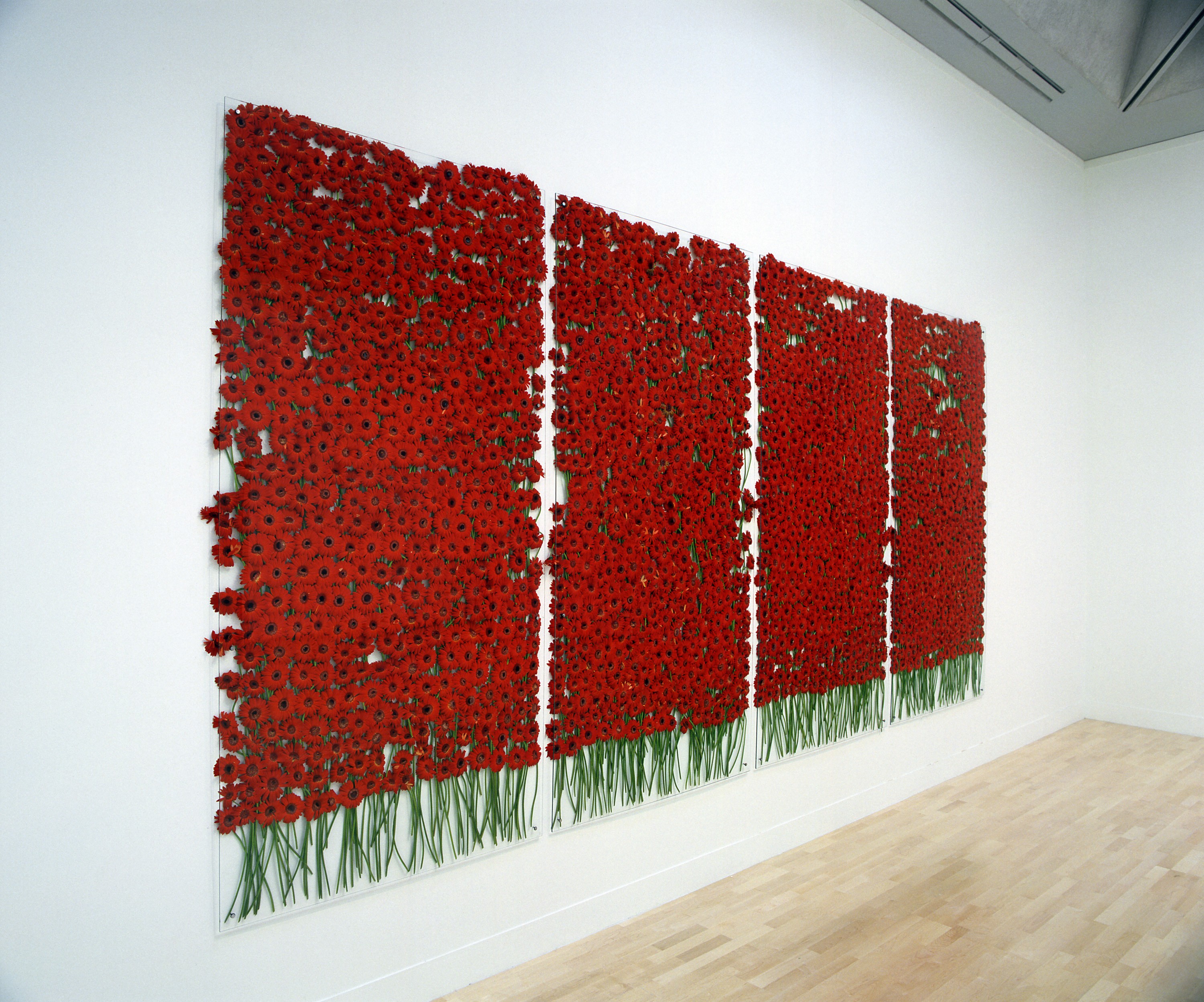 Installation of preserve 'beauty' at Tate Britain (October 25, 2003)