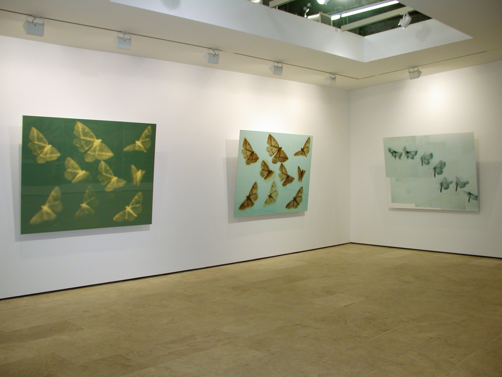 Installation view of Doug & Mike Starn at Lehmann Maupin New York