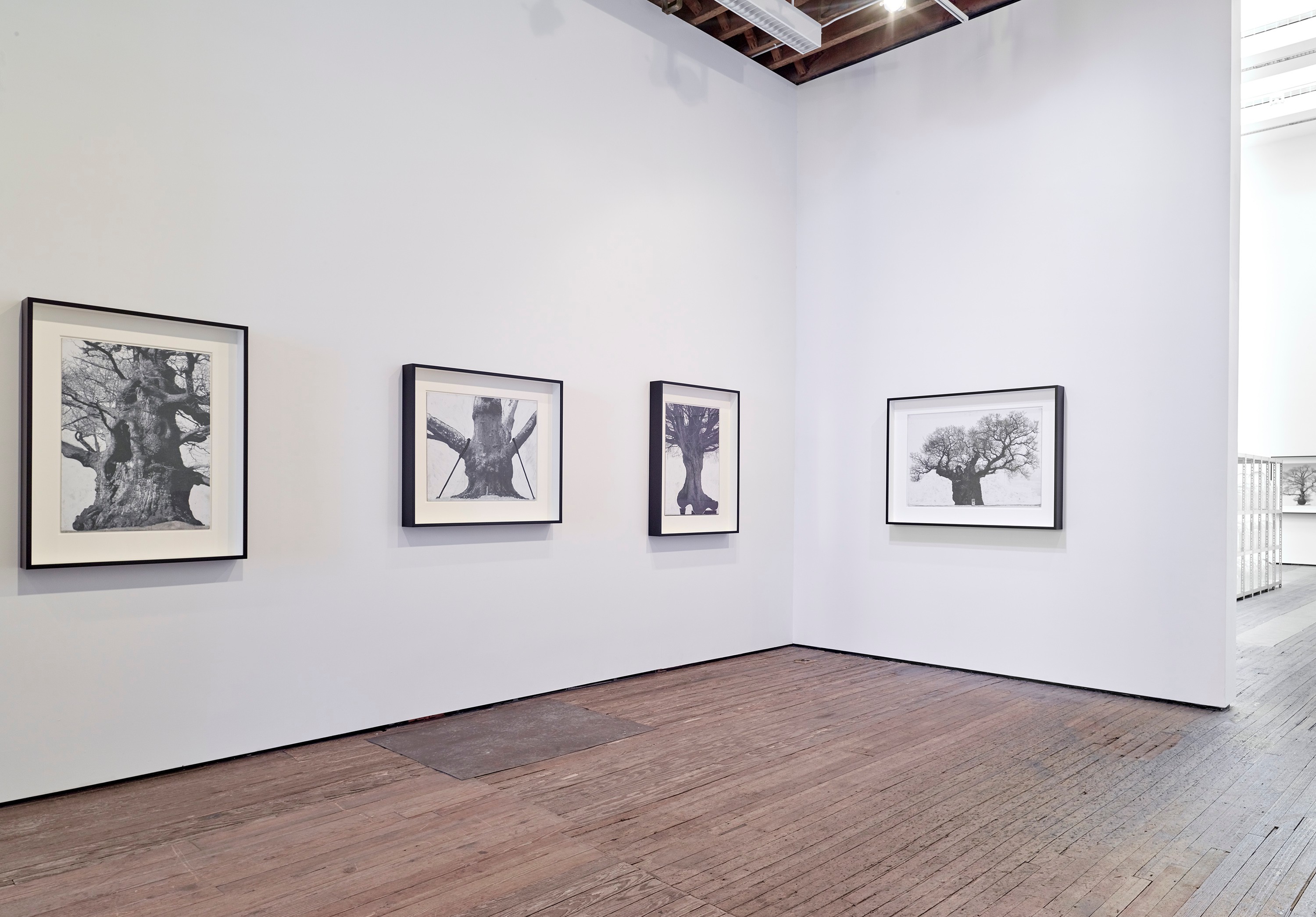 Installation view of Patrick Van Caeckenberg at Lehmann Maupin New York