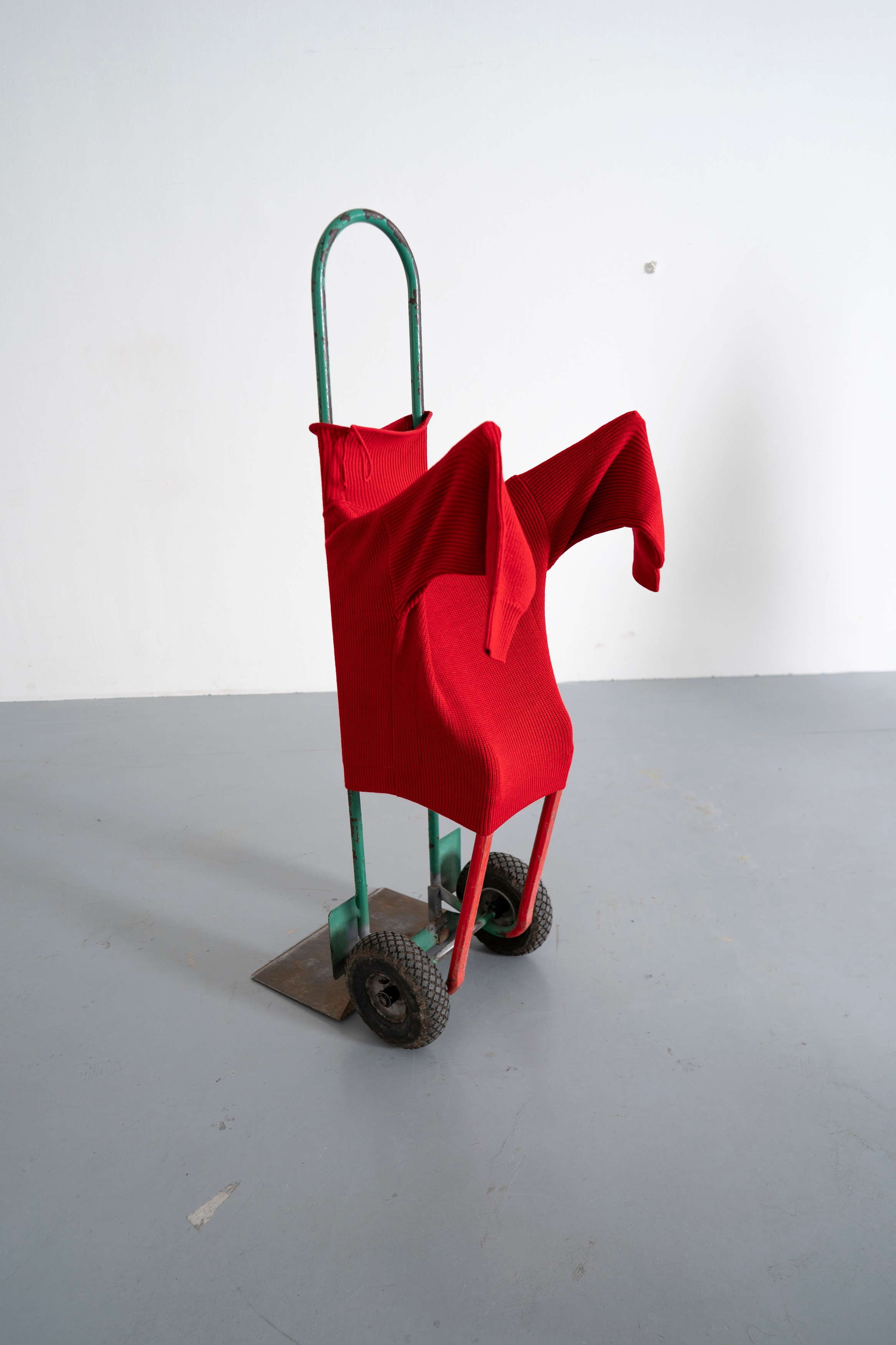 Photograph by Erwin Wurm