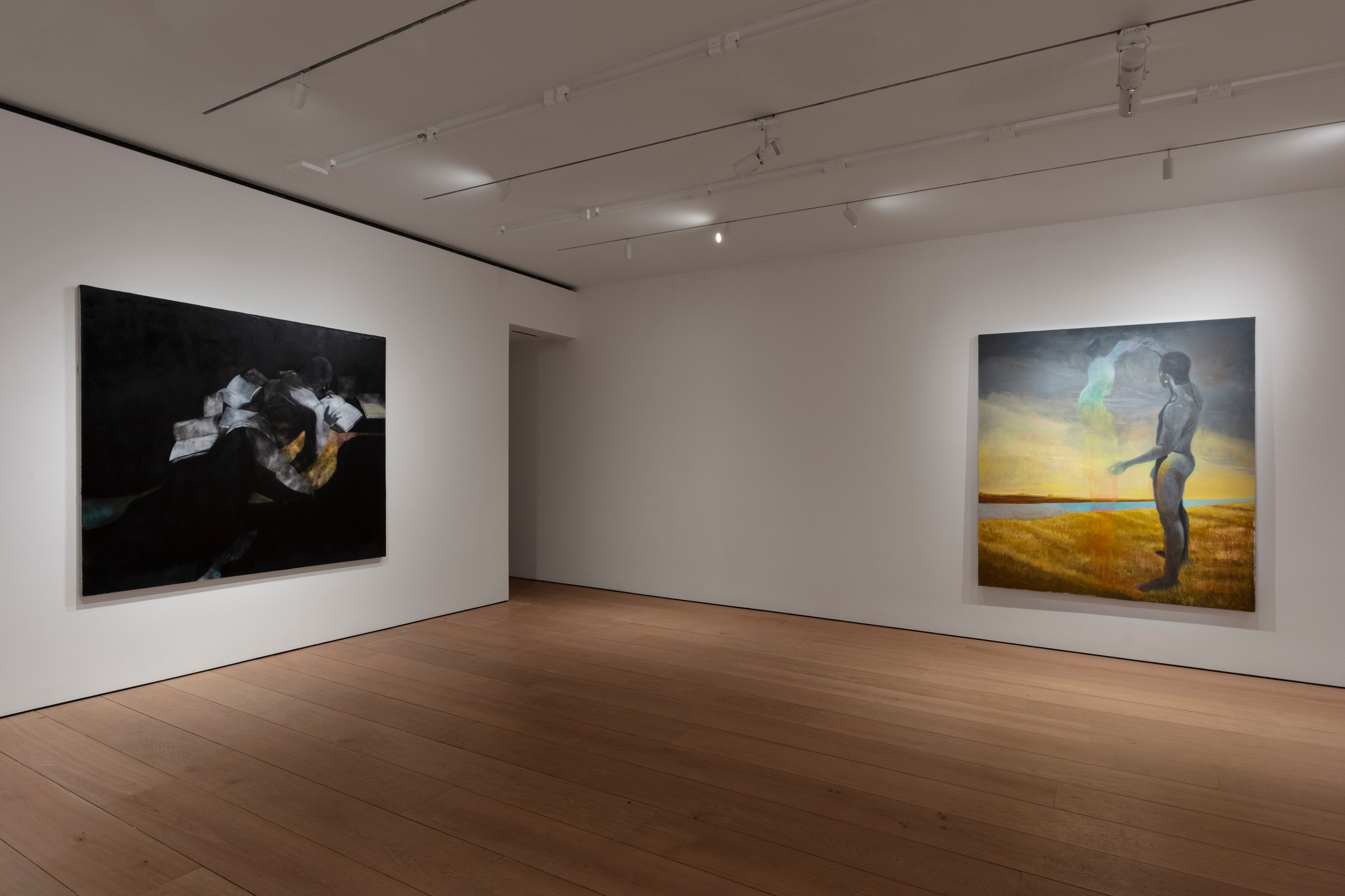 Installation view of Dominic Chambers at Lehmann Maupin New York