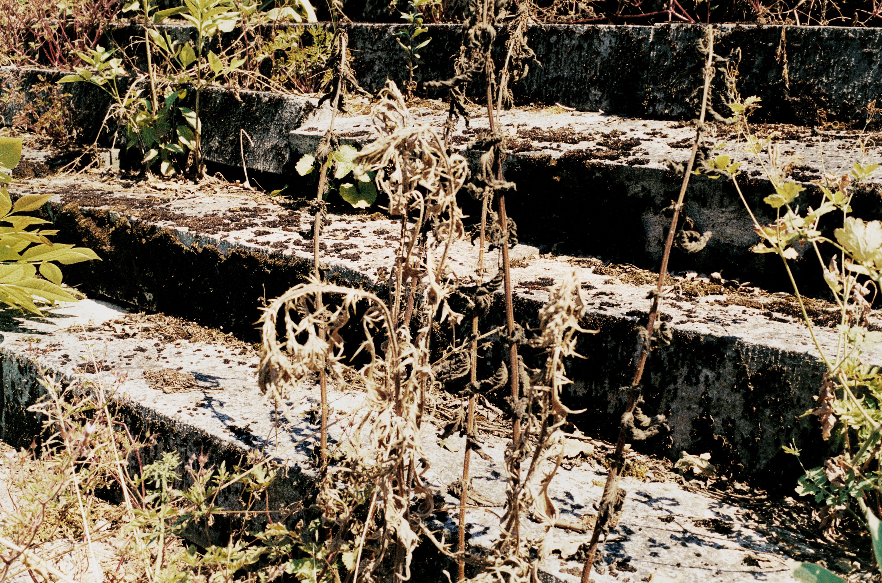Photograph by Juergen Teller