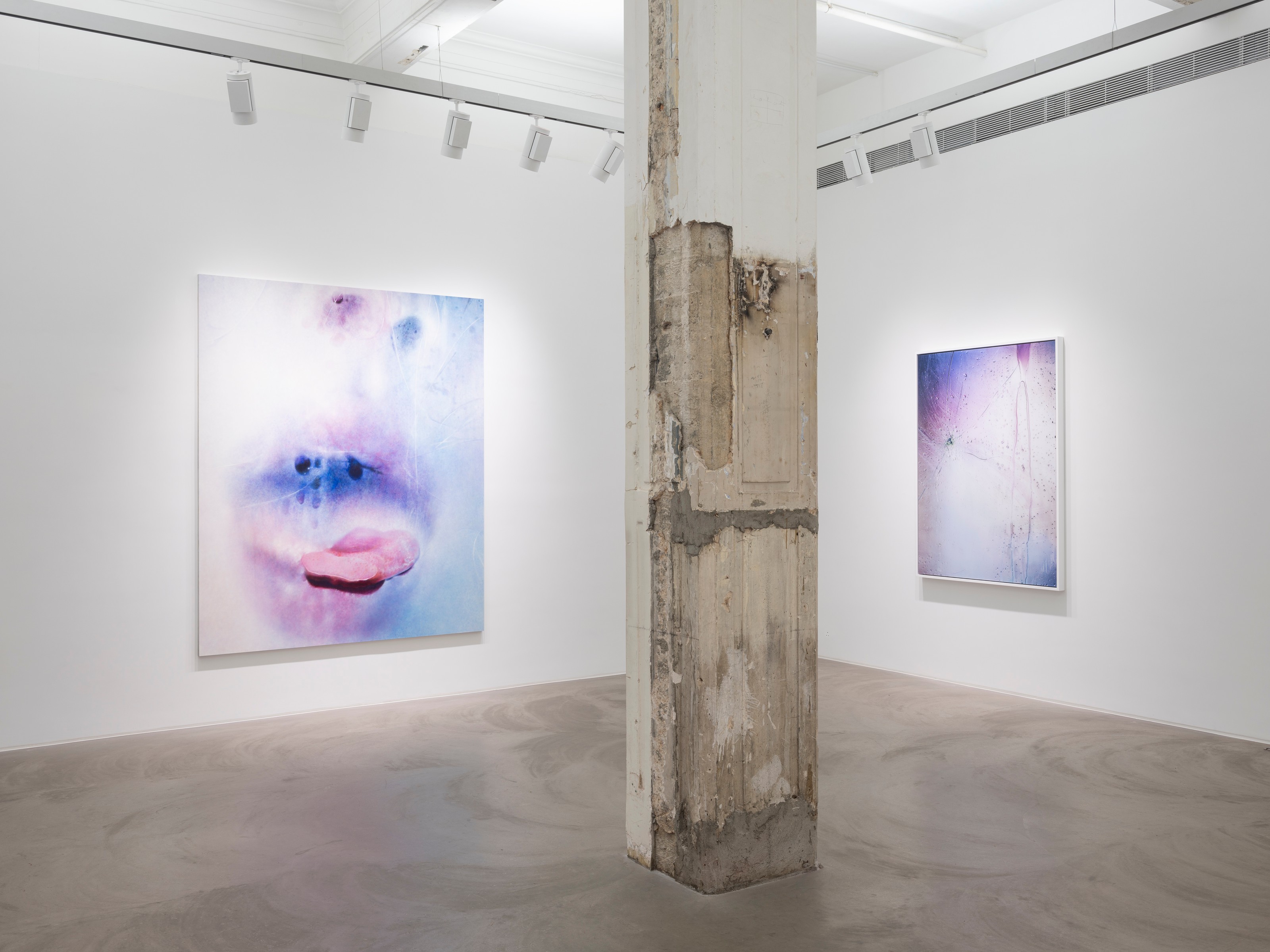 Installation view of Marilyn Minter at Lehmann Maupin Hong Kong