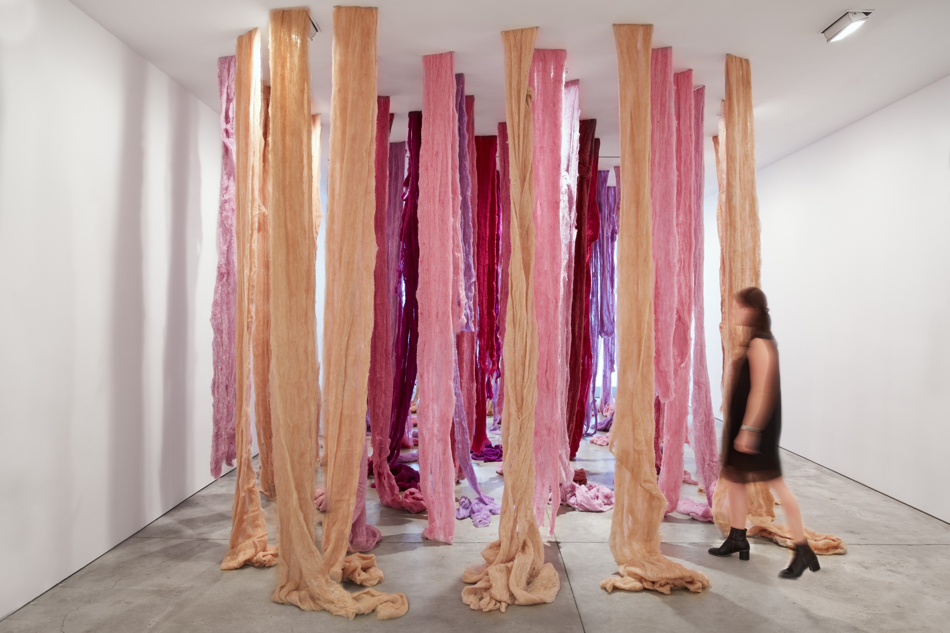 Cecilia Vicuña Installation