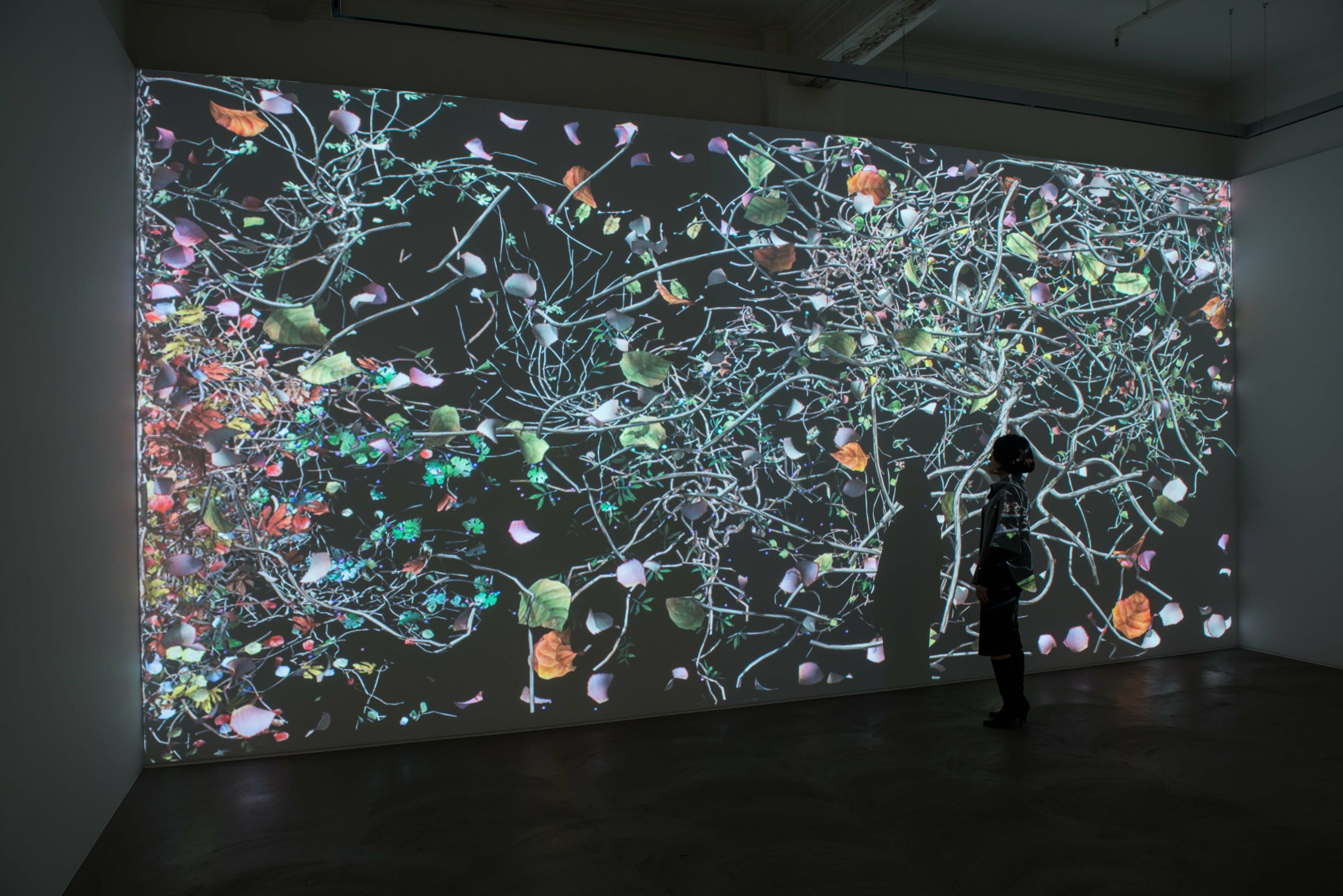 Installation view of Diaspore at Lehmann Maupin Hong Kong