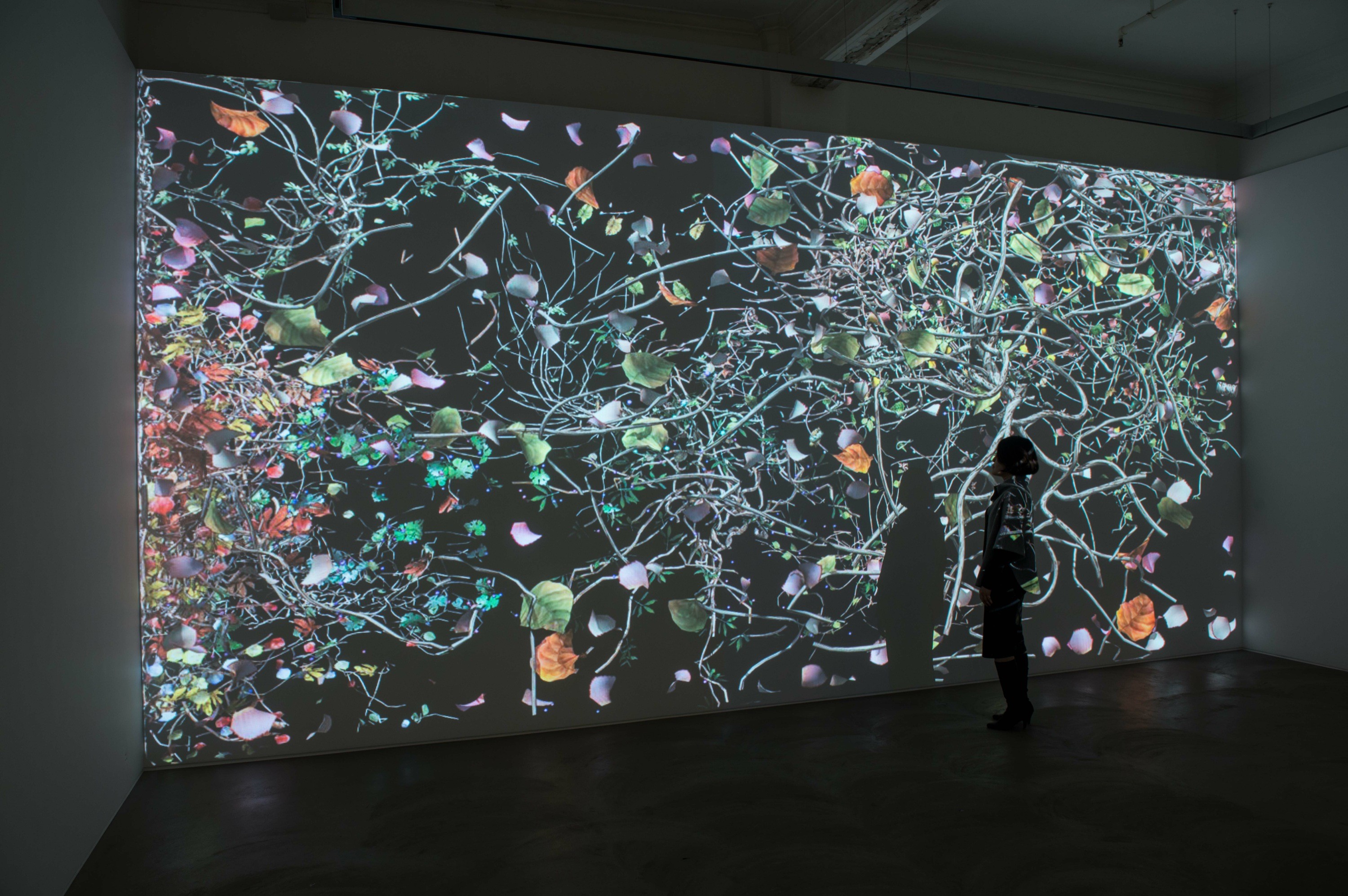Installation view of Diaspore at Lehmann Maupin Hong Kong