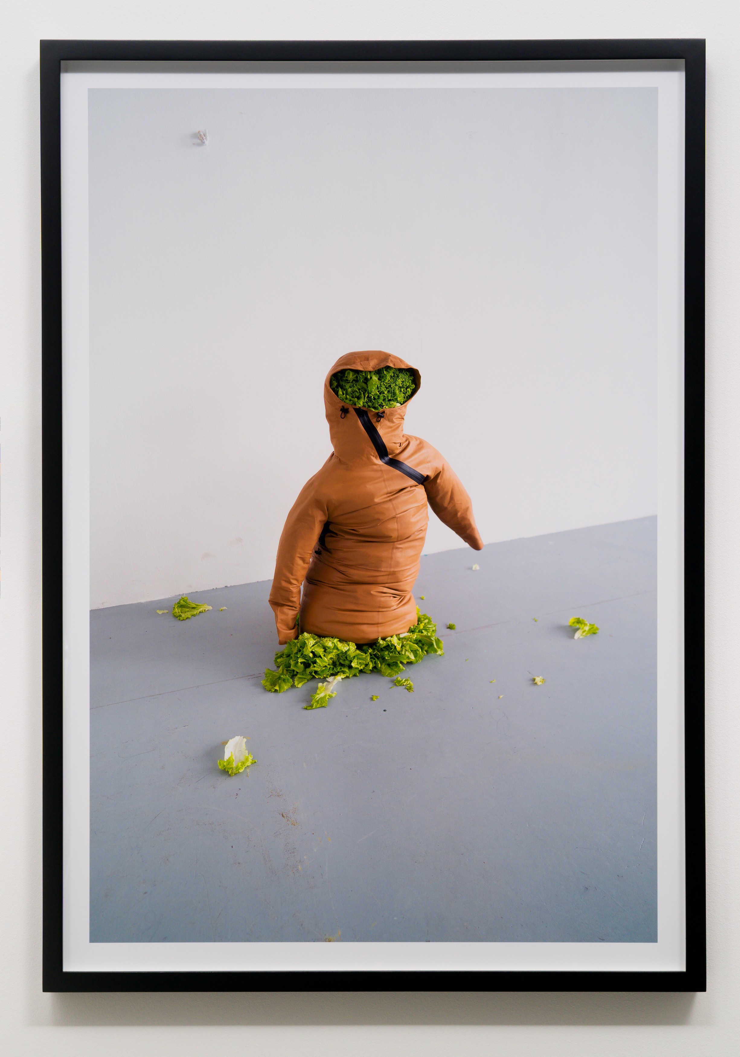 Photograph by Erwin Wurm
