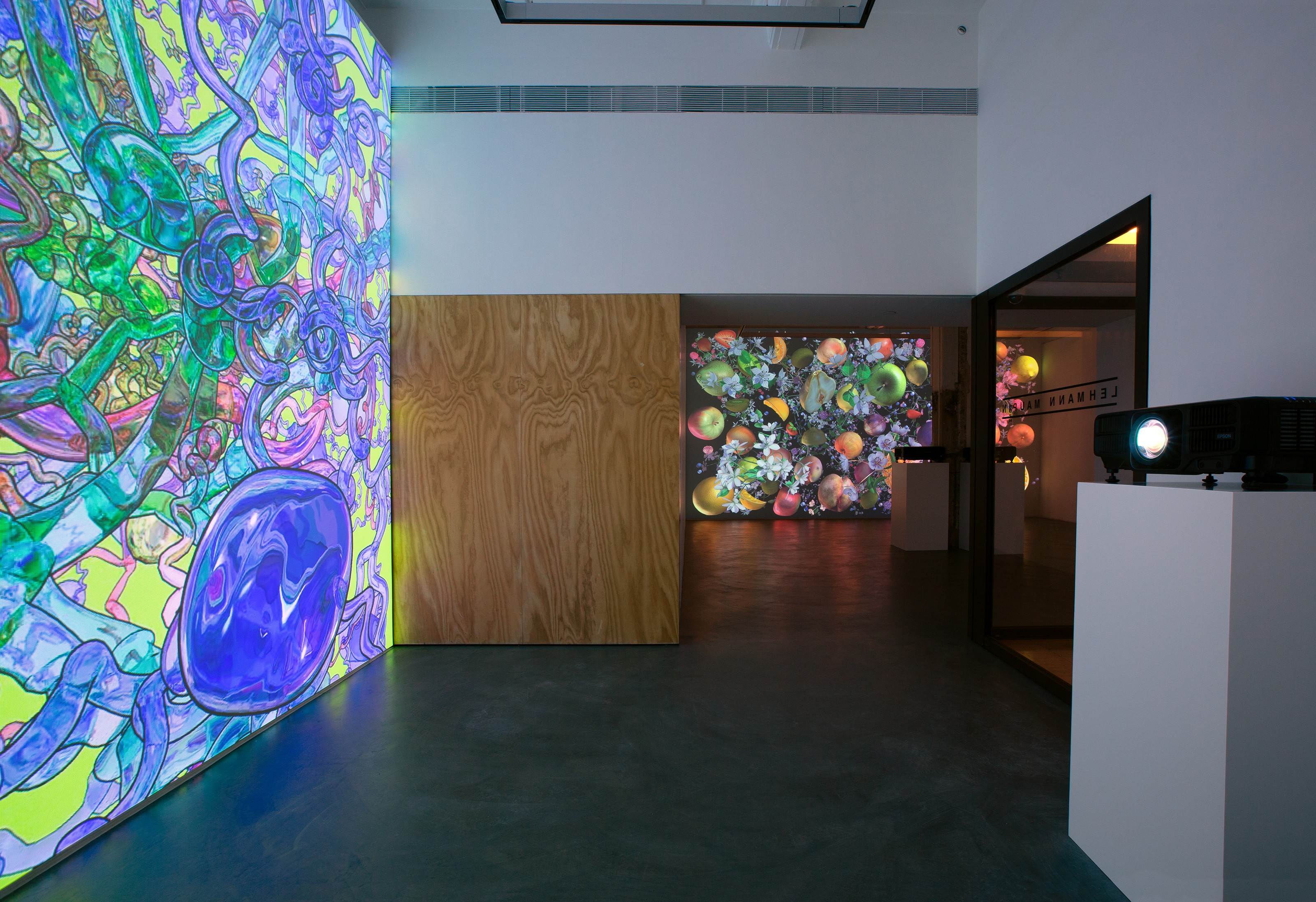 Installation view of Jennifer Steinkamp at Lehmann Maupin Hong Kong