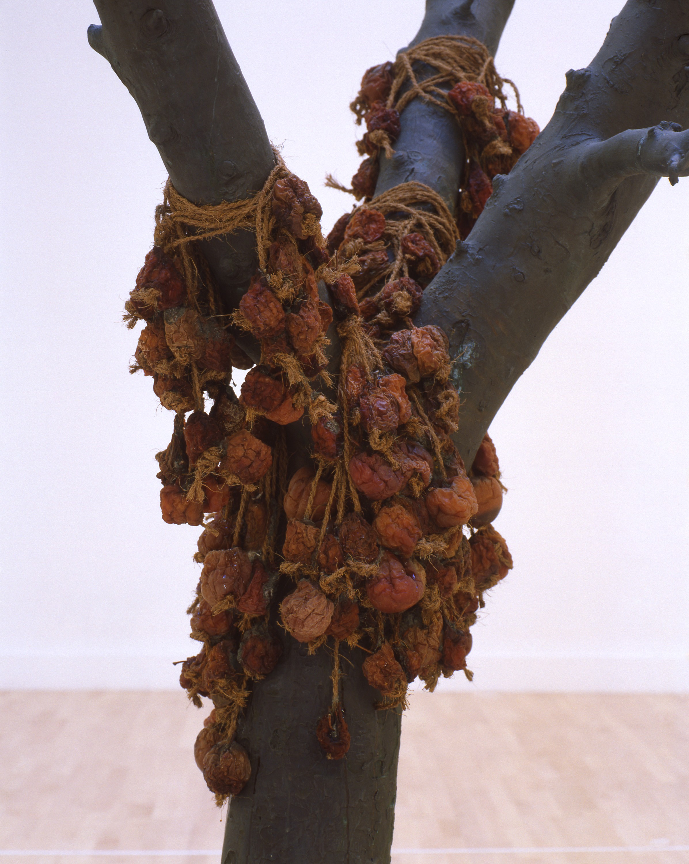Installation of because I could not stop at Tate Britain (January 15, 2004)
