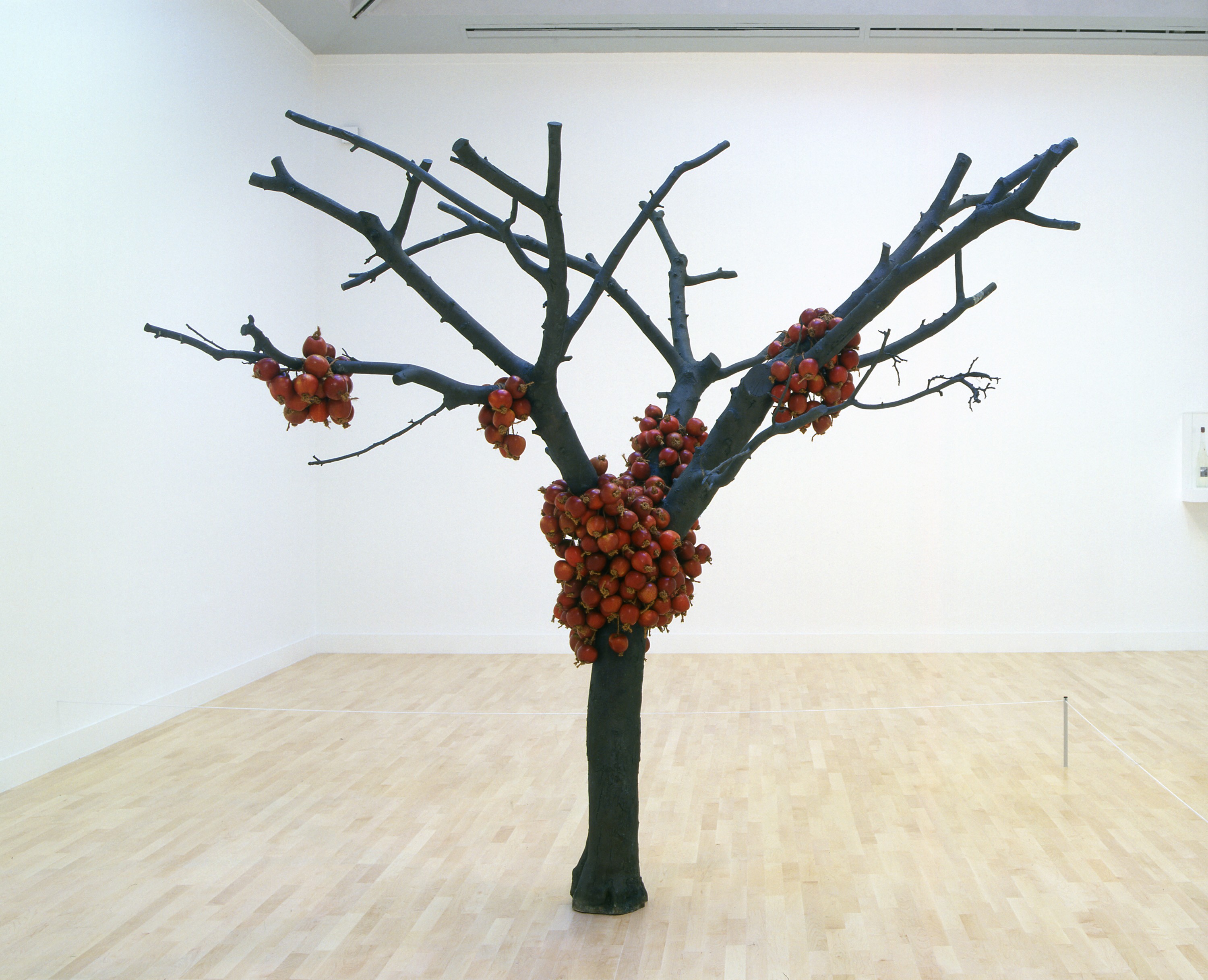 Installation of because I could not stop at Tate Britain (October 25, 2003)