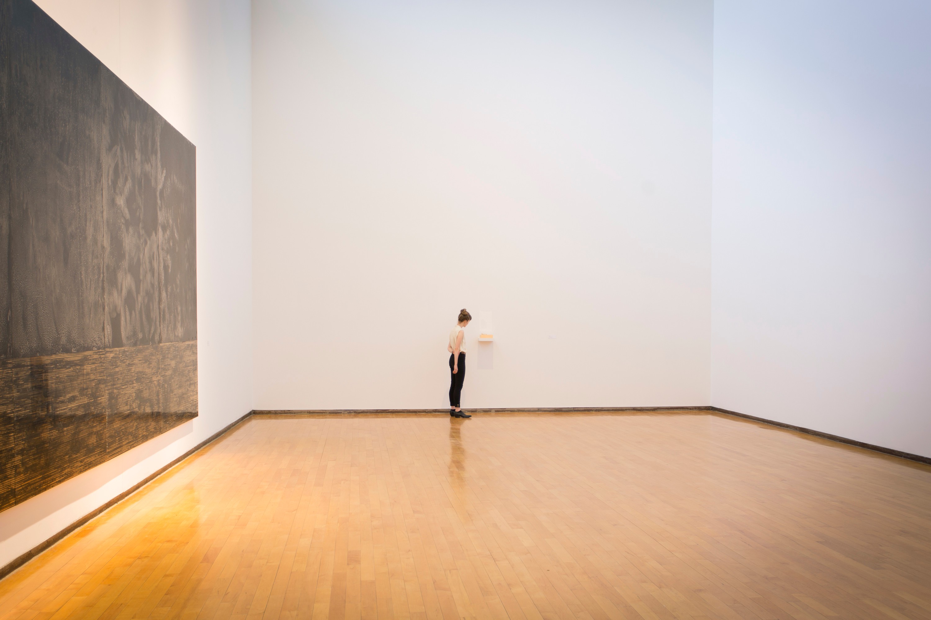 Teresita Fernández Installation