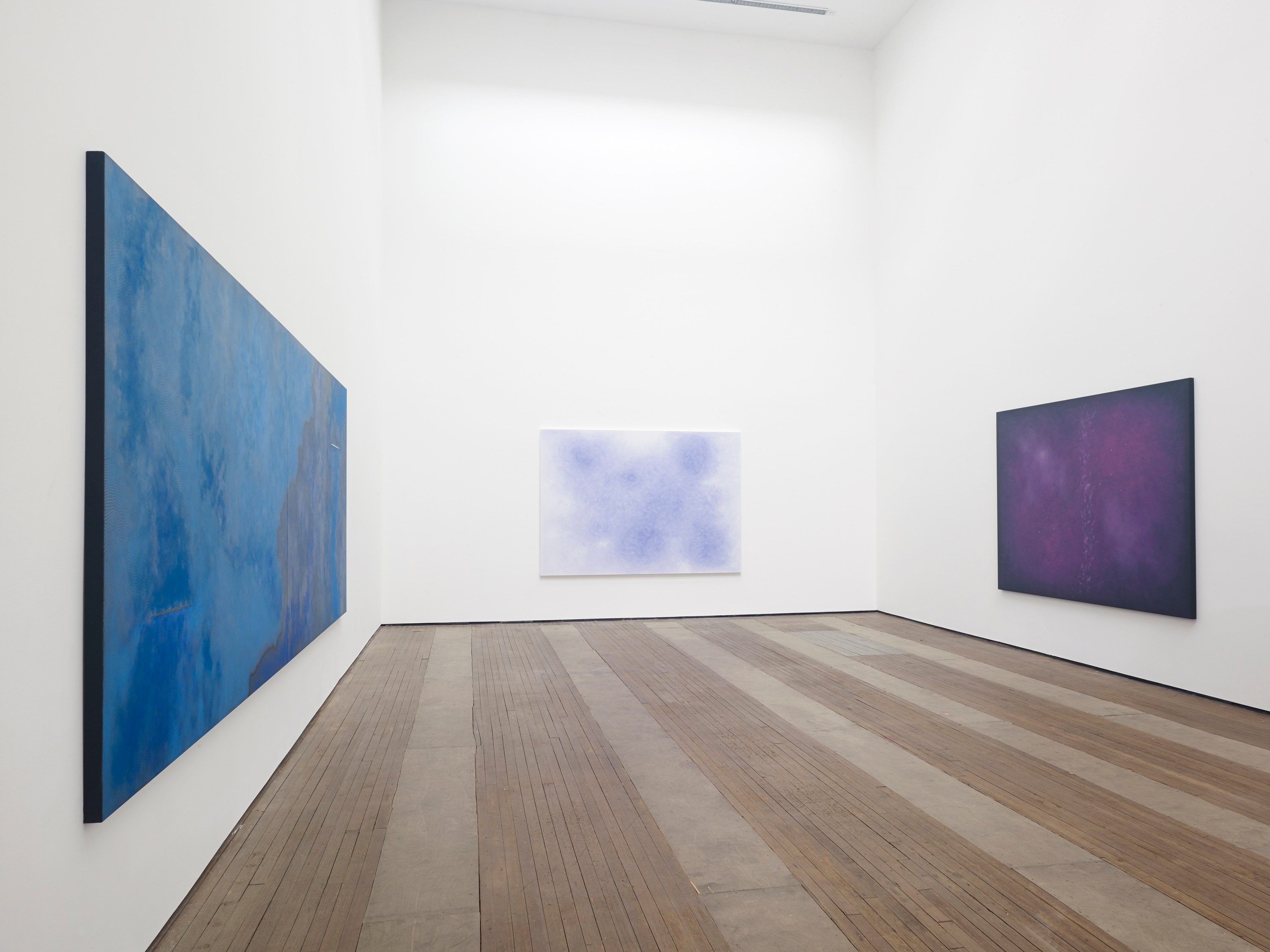 Installation view of The eye fell in love with the ear at Lehmann Maupin New York