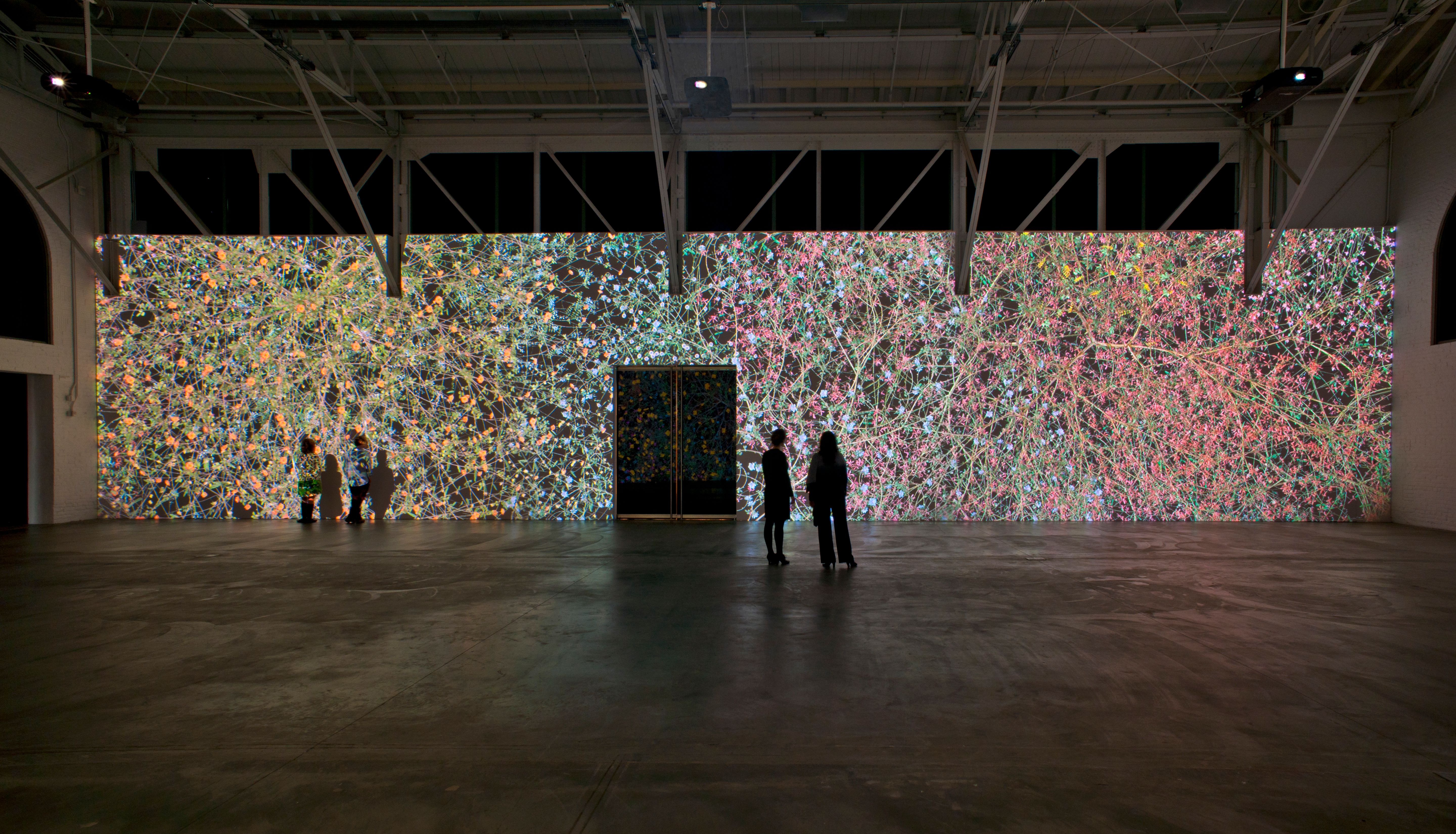Installation view of Jennifer Steinkamp