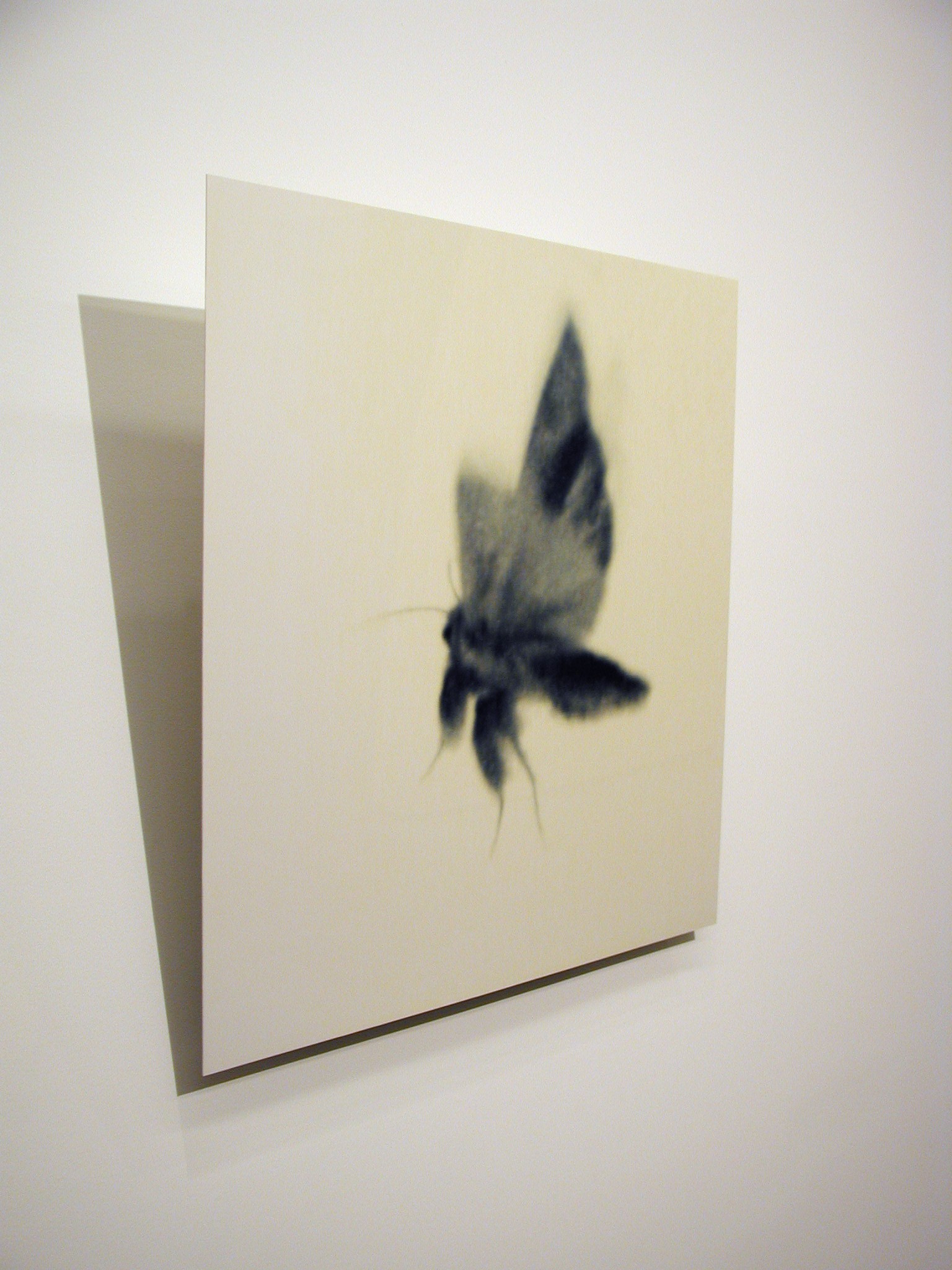 Installation view of Doug & Mike Starn at Lehmann Maupin New York