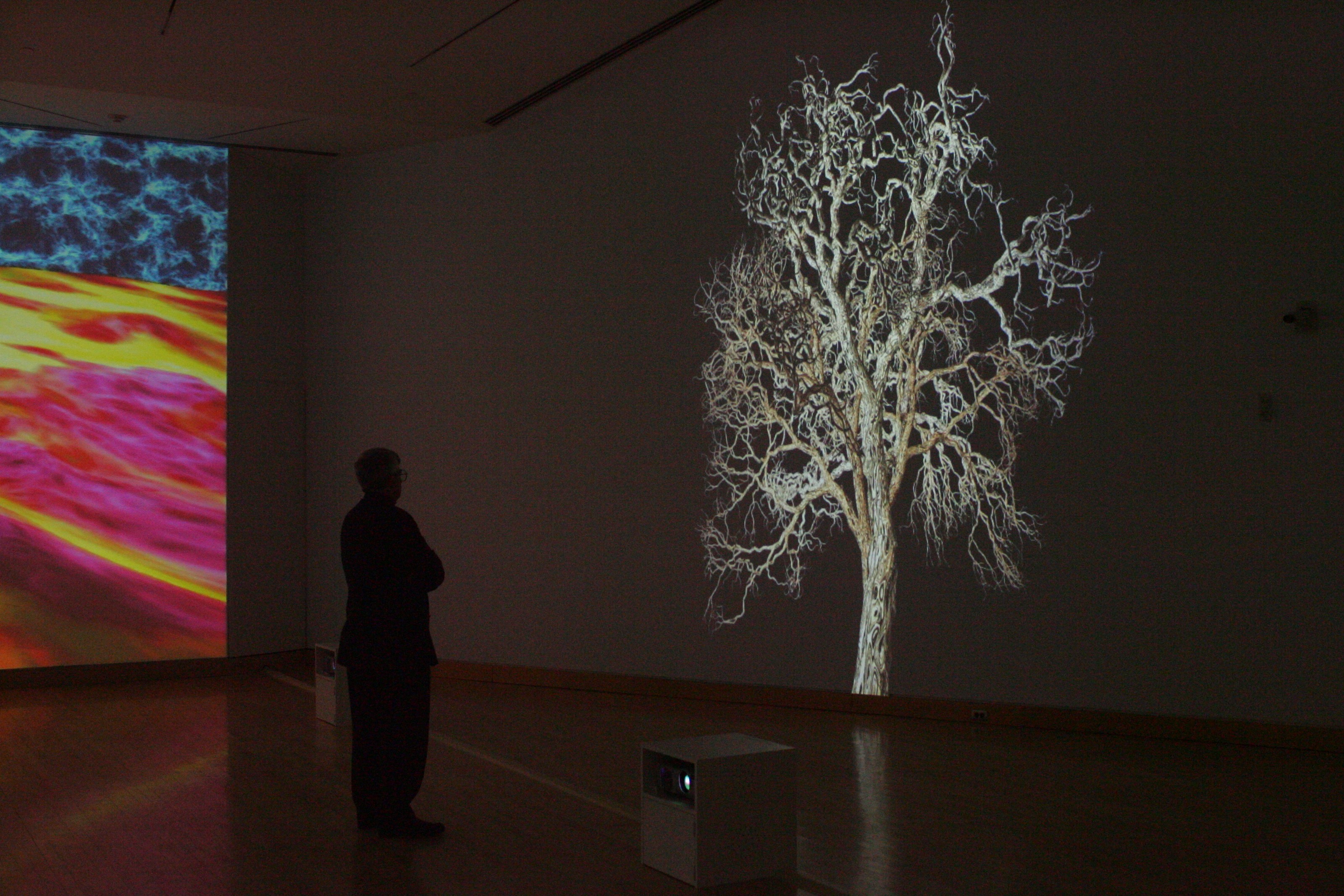 Installation view of Jennifer Steinkamp at Kemper Museum of Contemporary Art